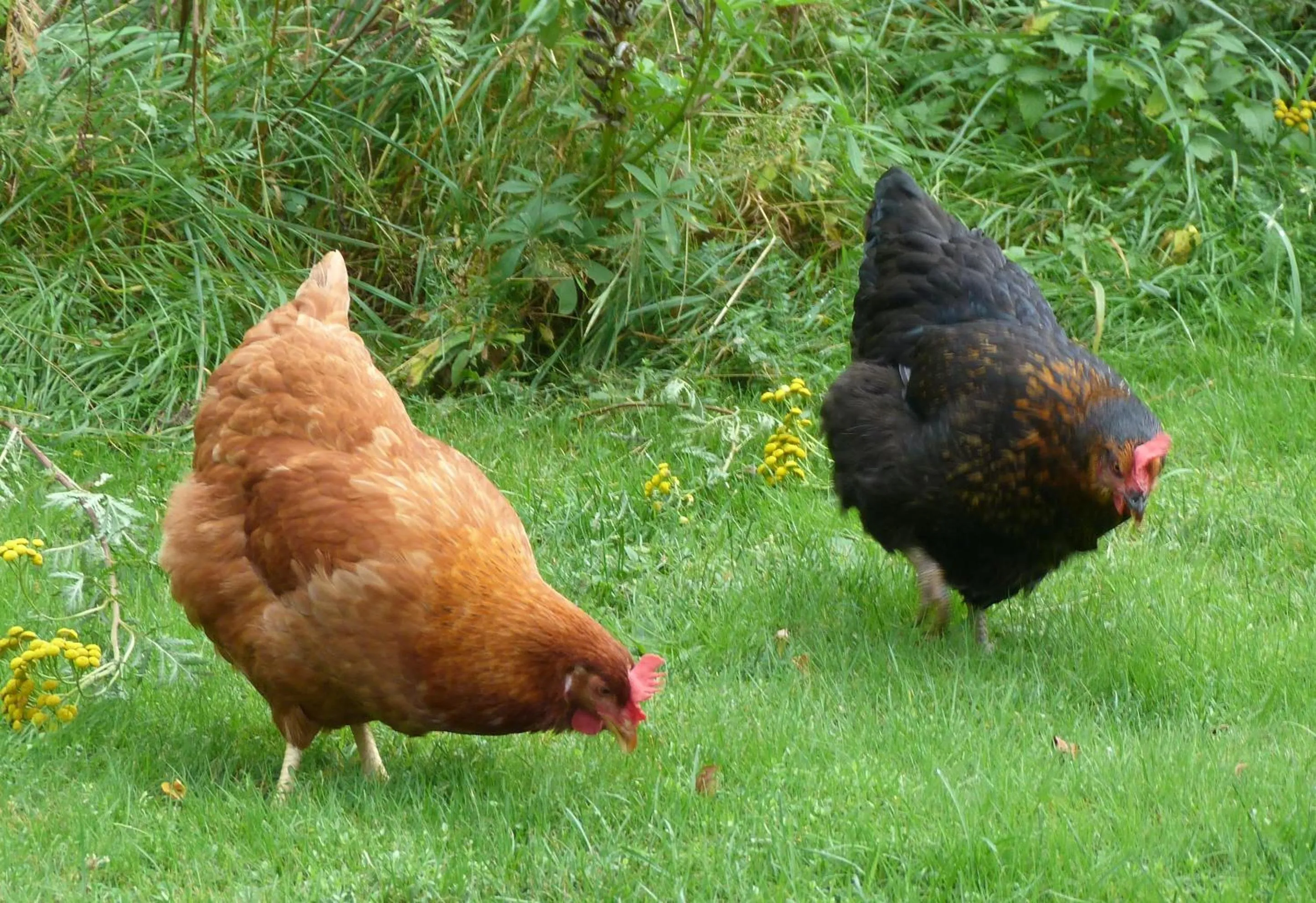 Property building in Chambres d'Hôtes La Fougeraie