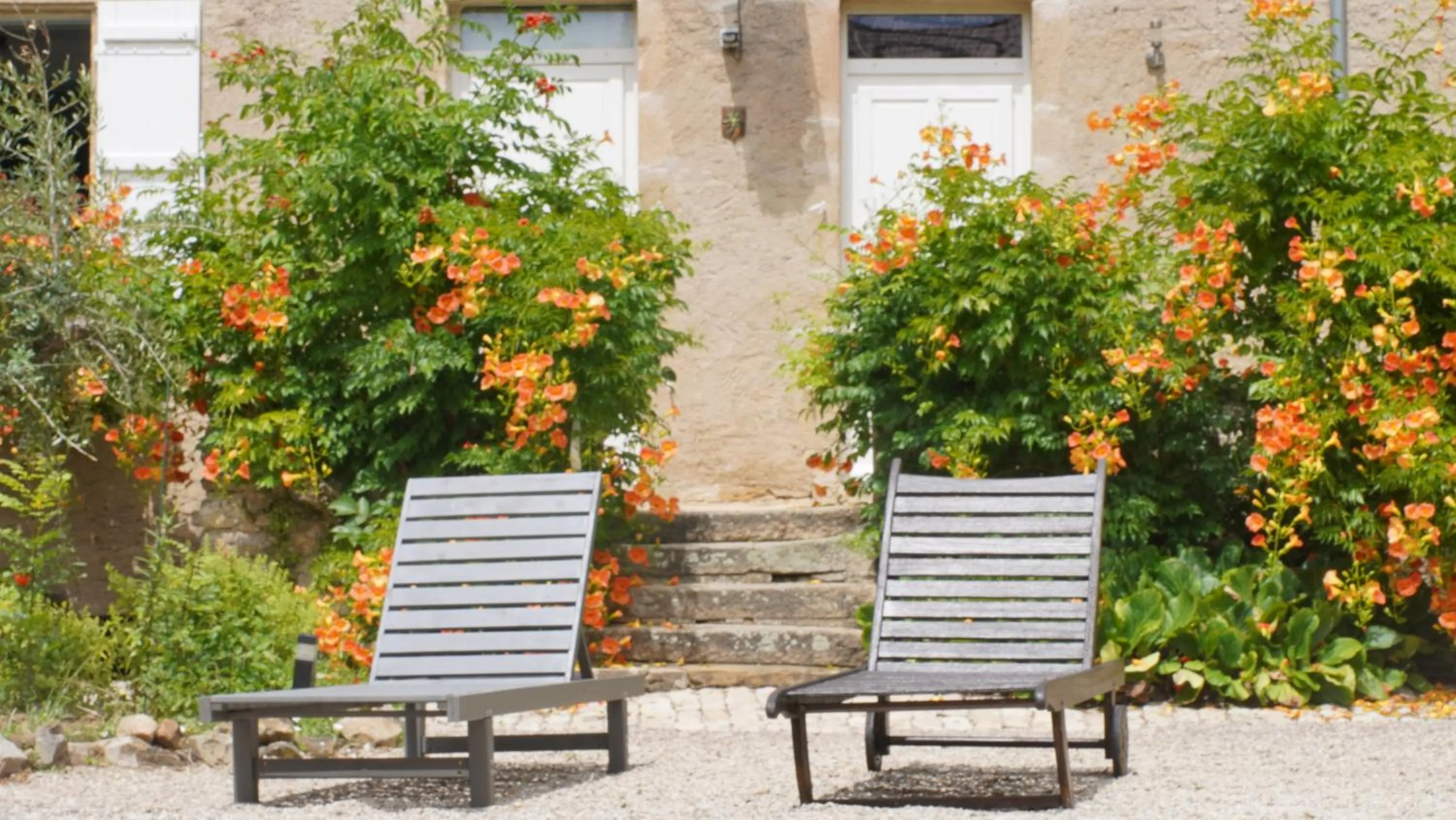 Day in Domaine Les Bertrands