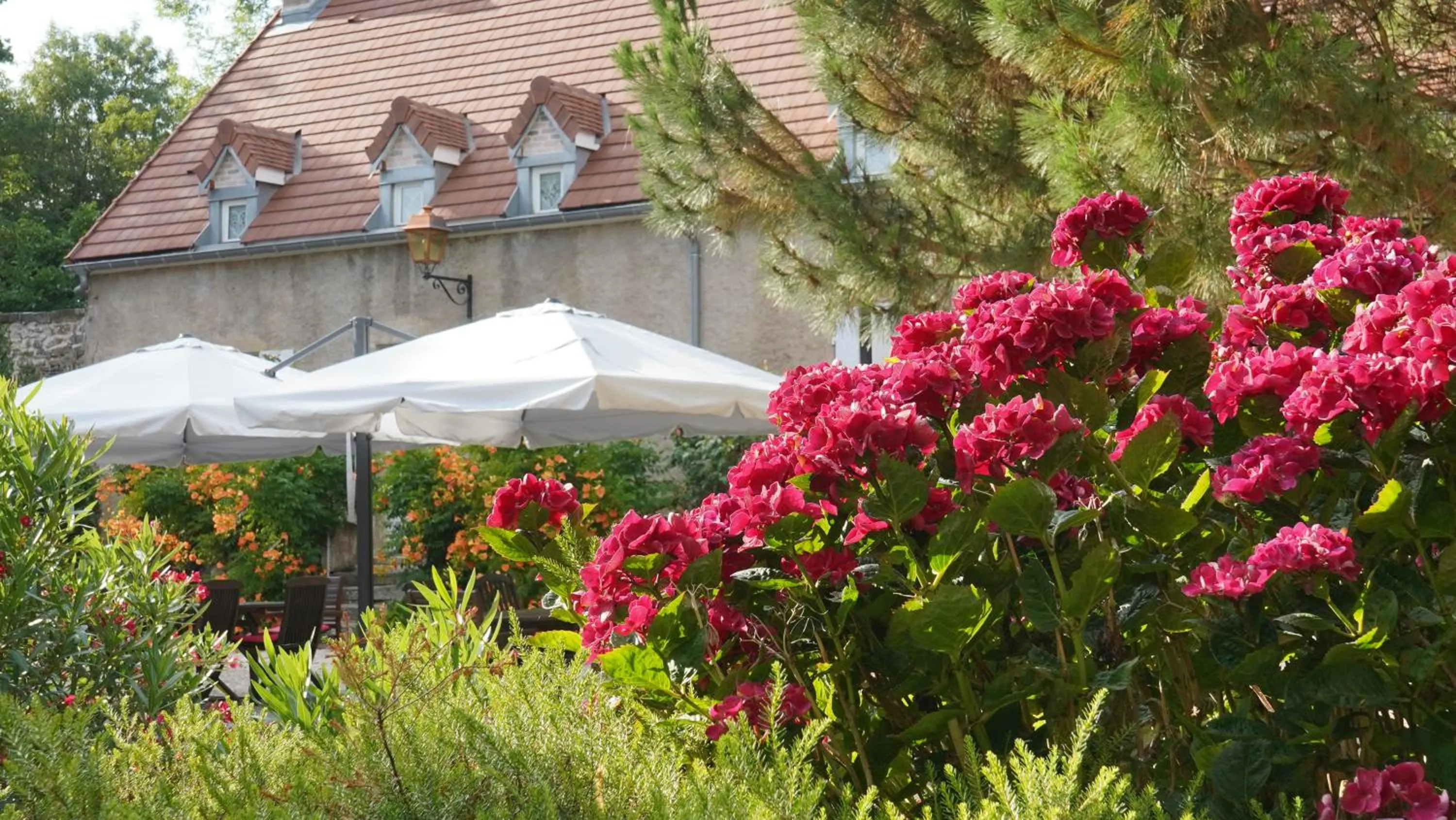 Day in Domaine Les Bertrands