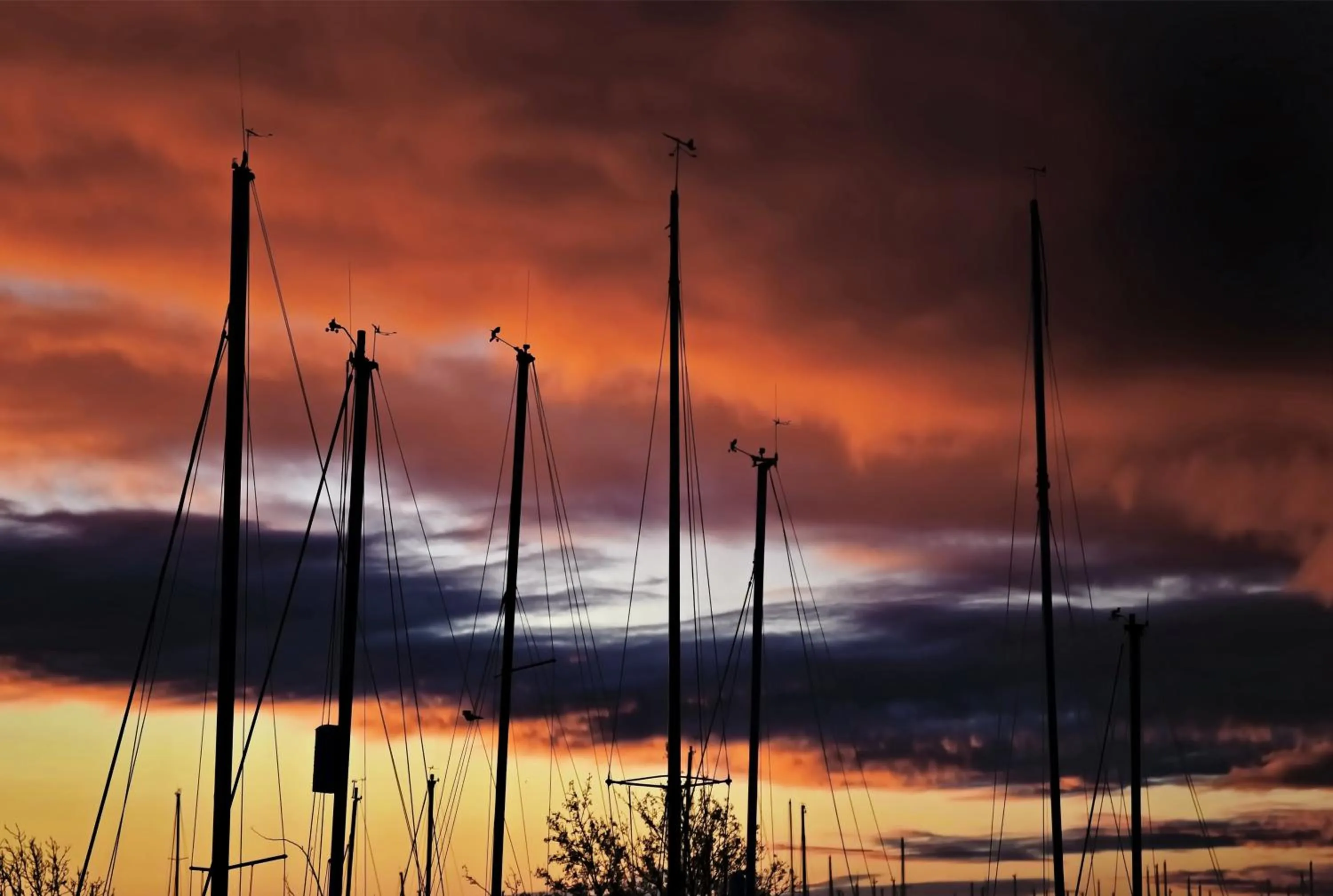 Sunrise in Britannia House