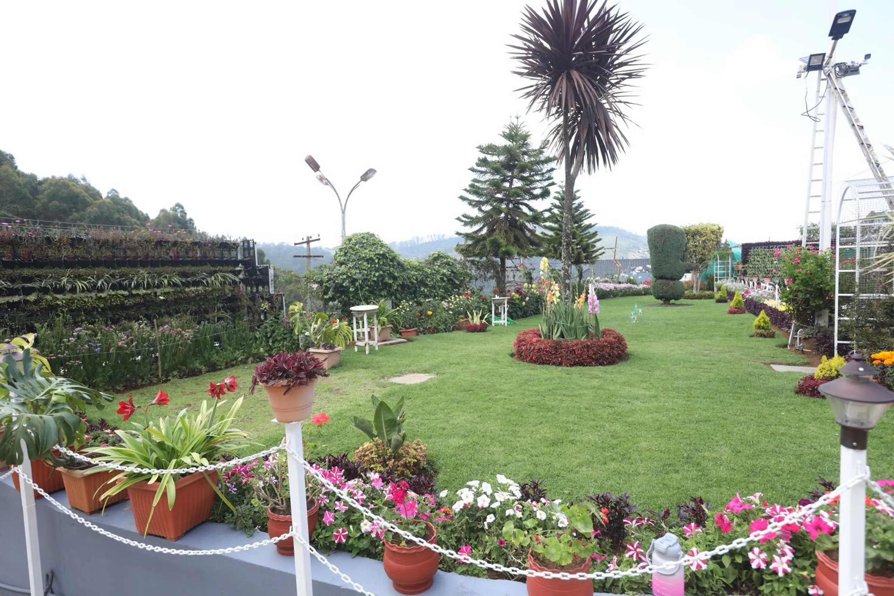 Garden in Delightz Inn