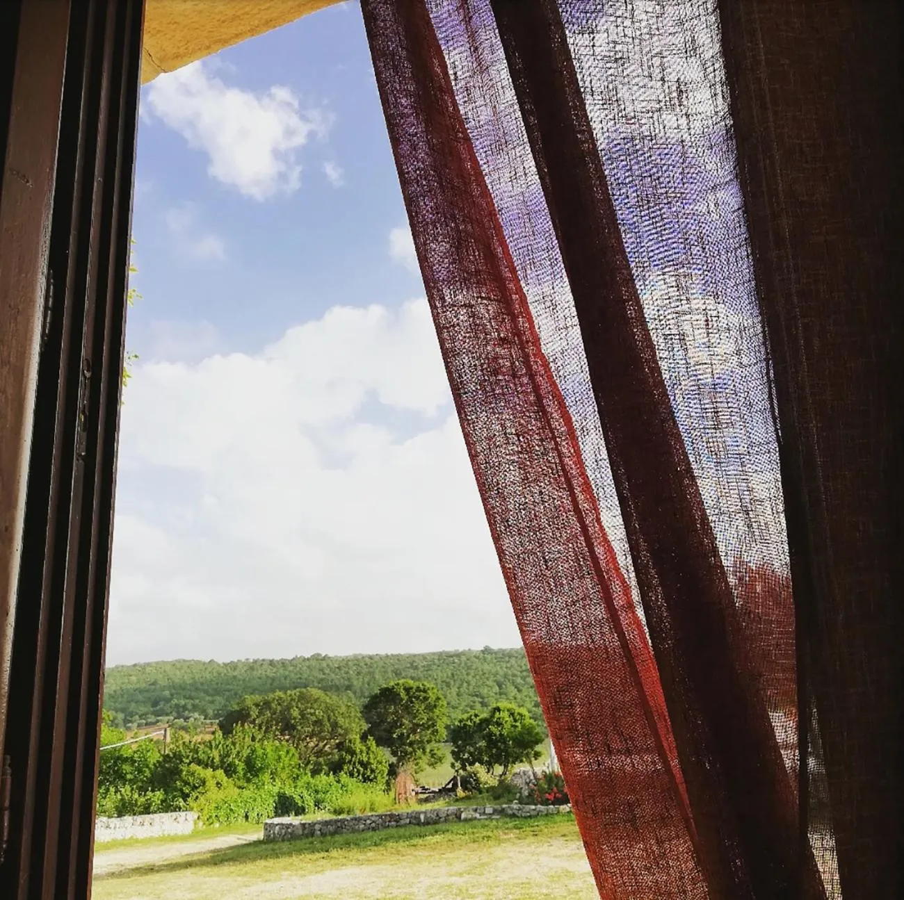 Garden view in Trulli Panoramici