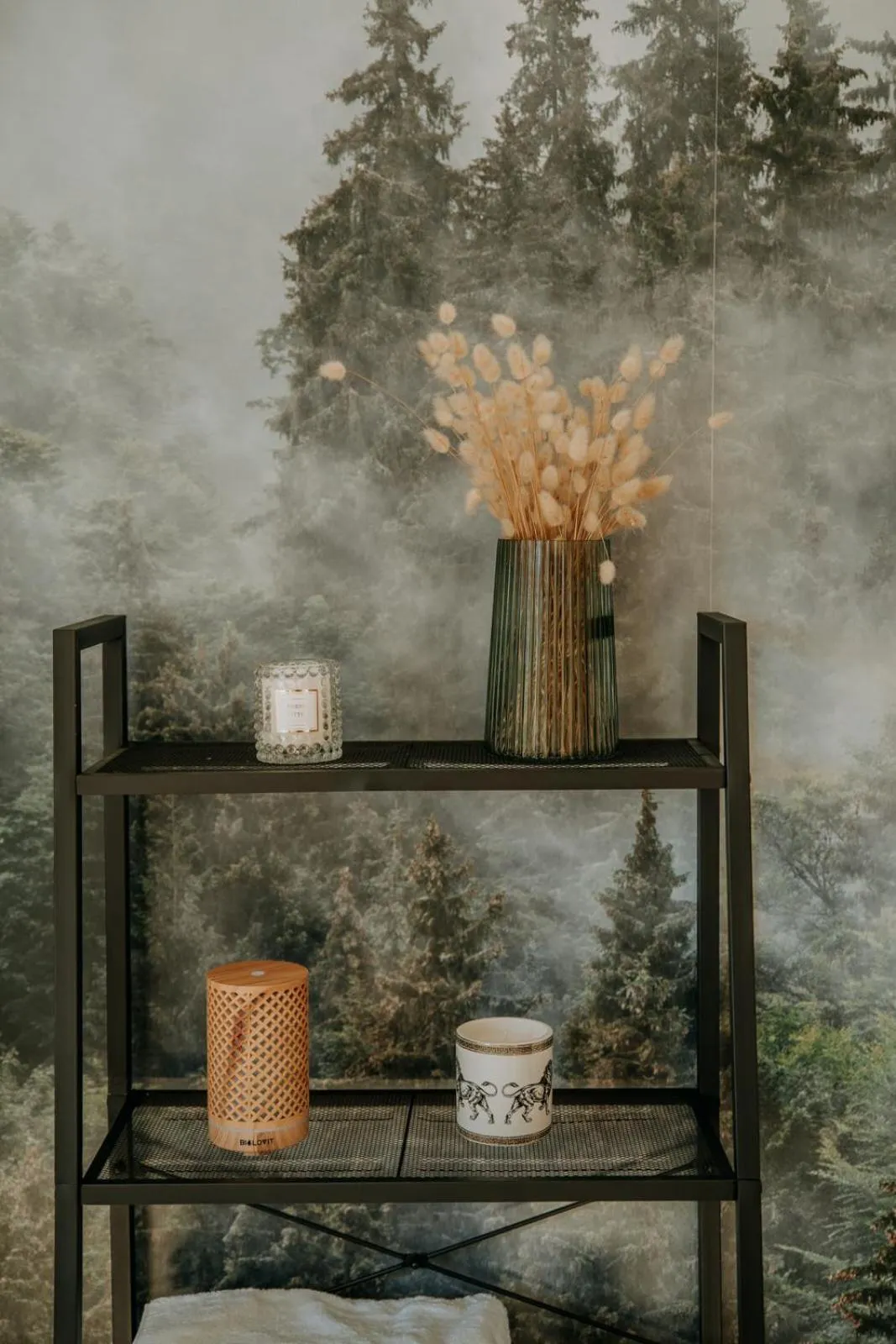 Massage in Dom Wypoczynkowy U Staszla