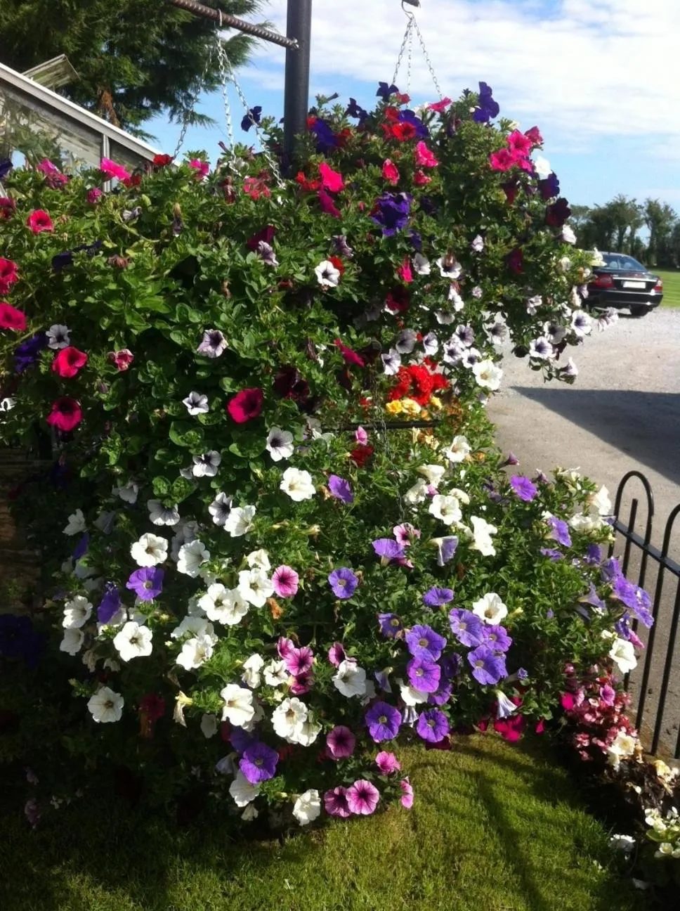 Garden in Hillview House