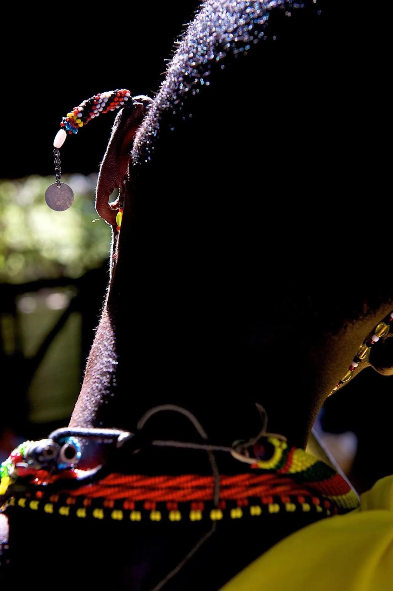 Other in Samburu Intrepids Tented Camp