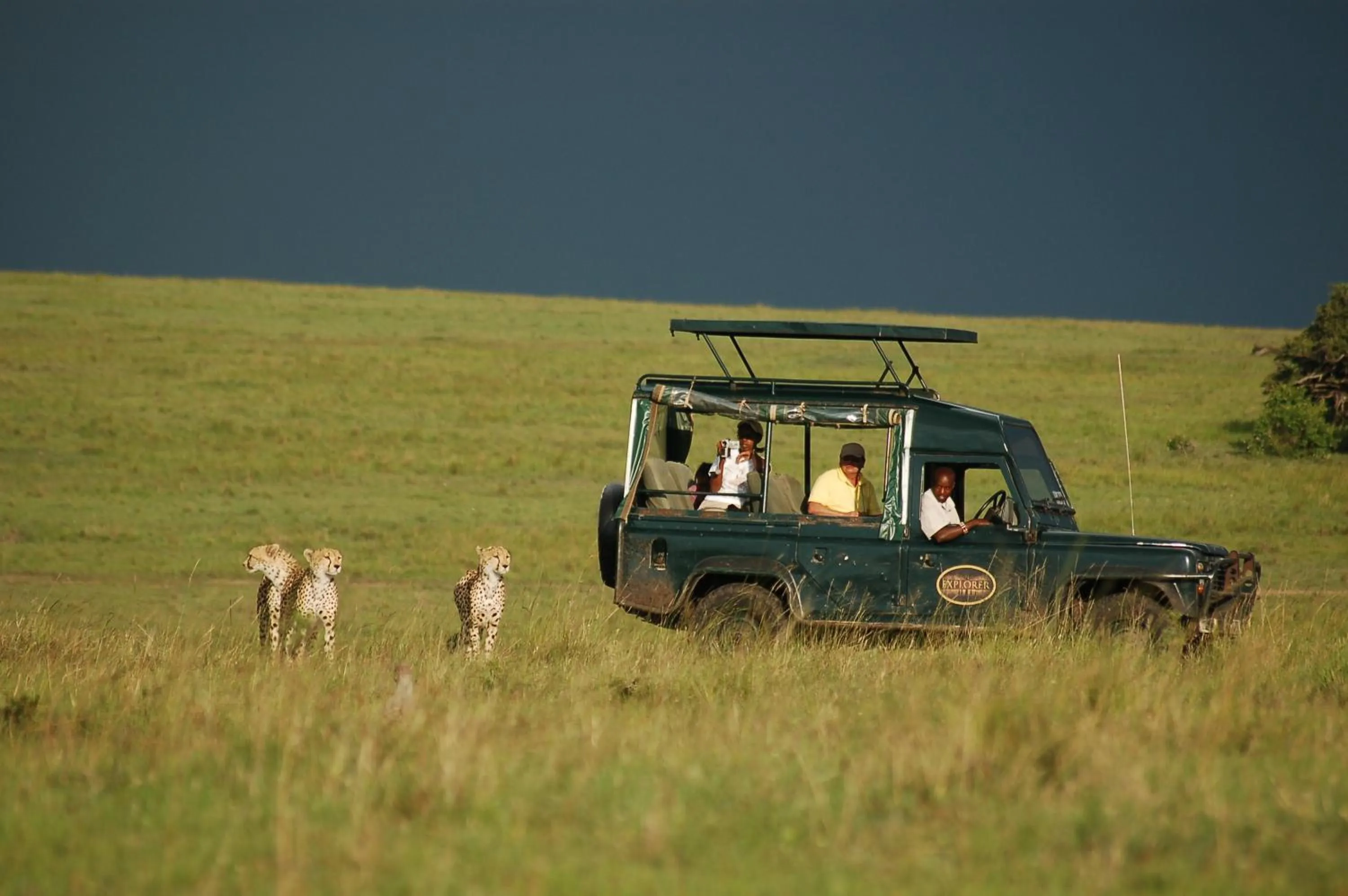 Day in Mara Intrepids Tented Camp