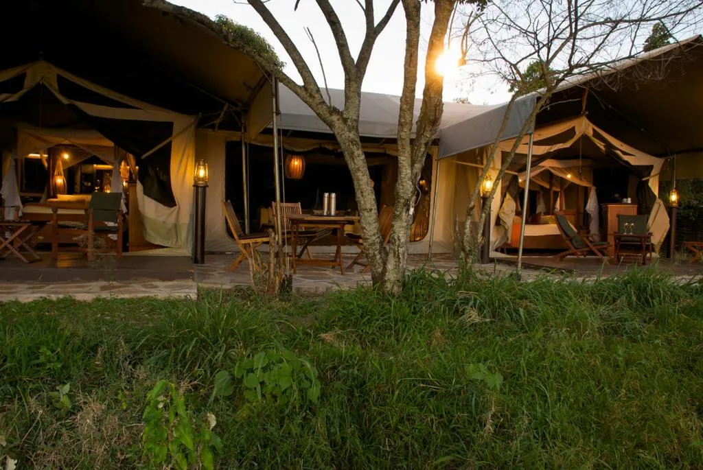 Facade/entrance in Mara Intrepids Tented Camp