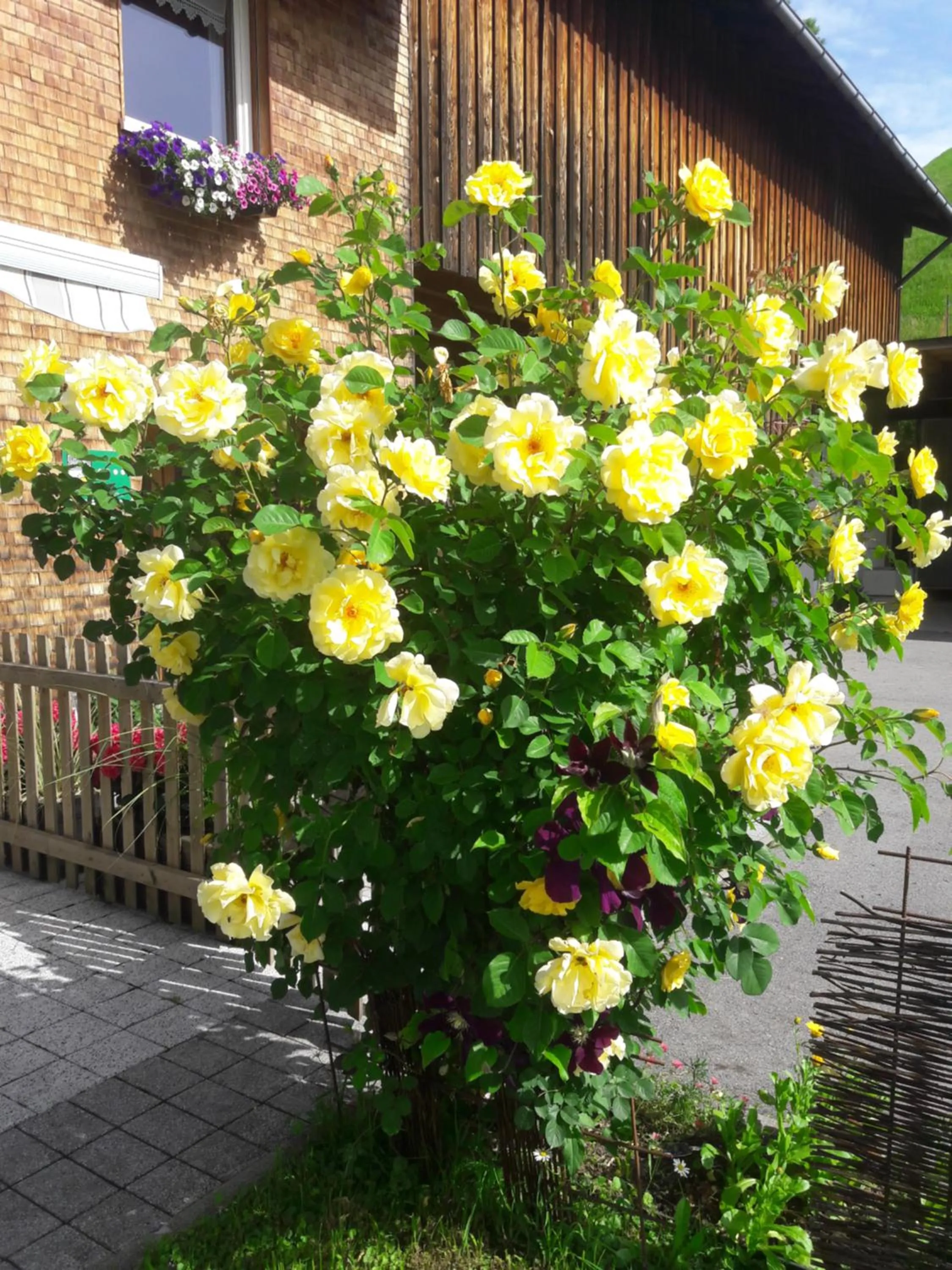 Garden view in Panoramahof Eggele