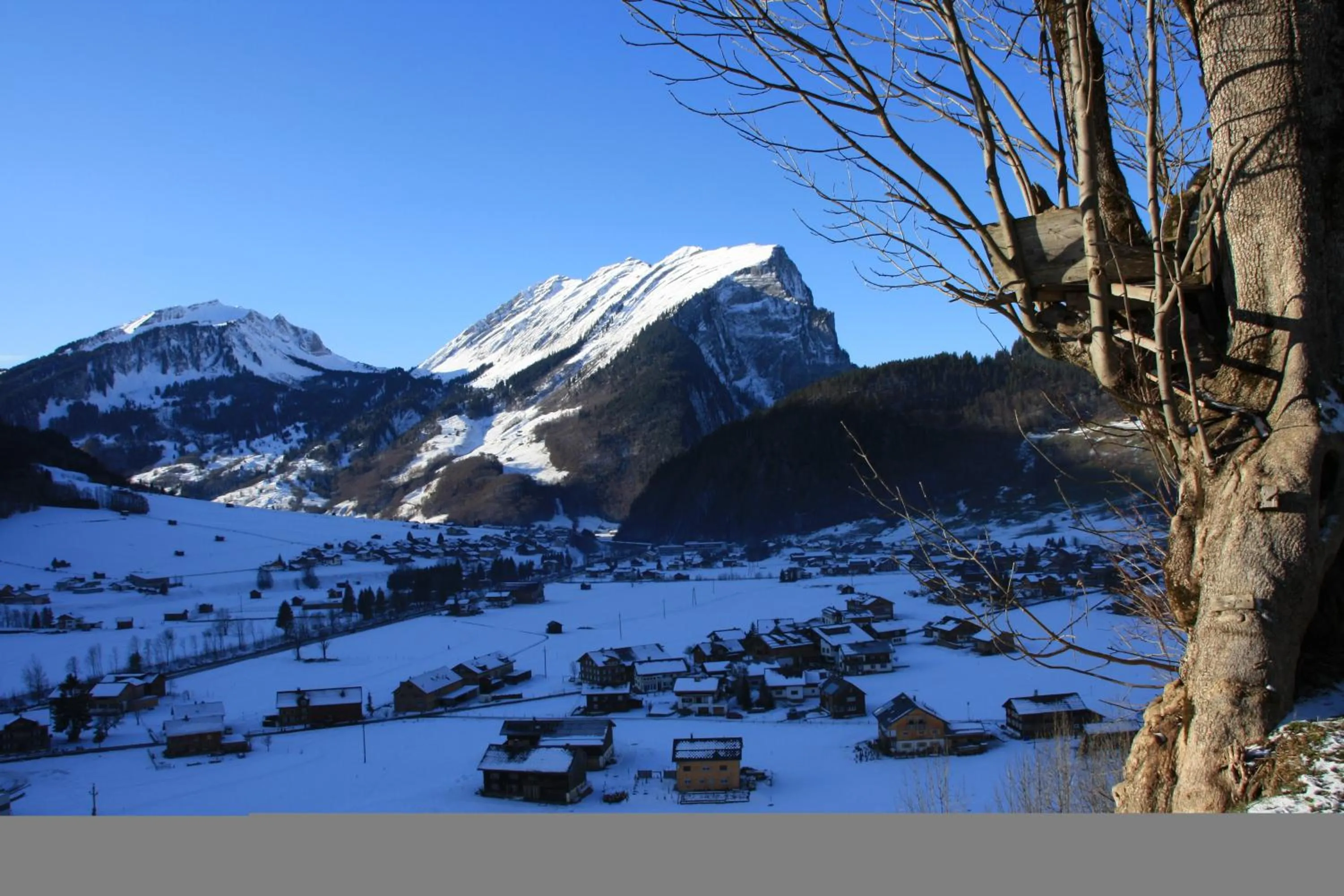 View (from property/room) in Panoramahof Eggele