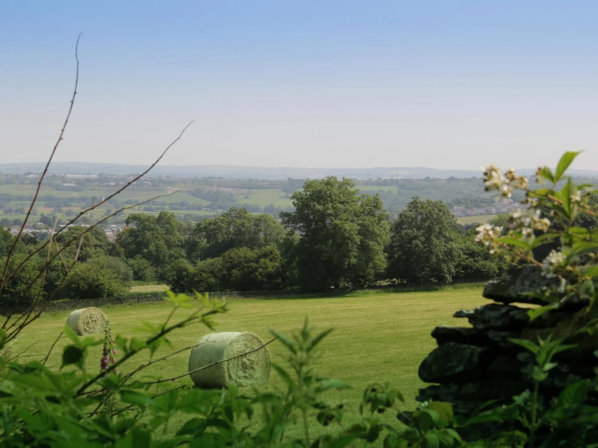 Garden in Llechwen Hall