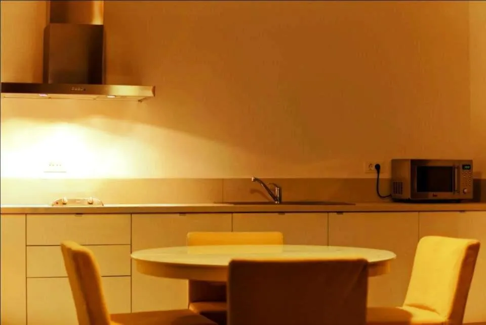 Kitchen or kitchenette in Apart Hotel Vlad Tepes