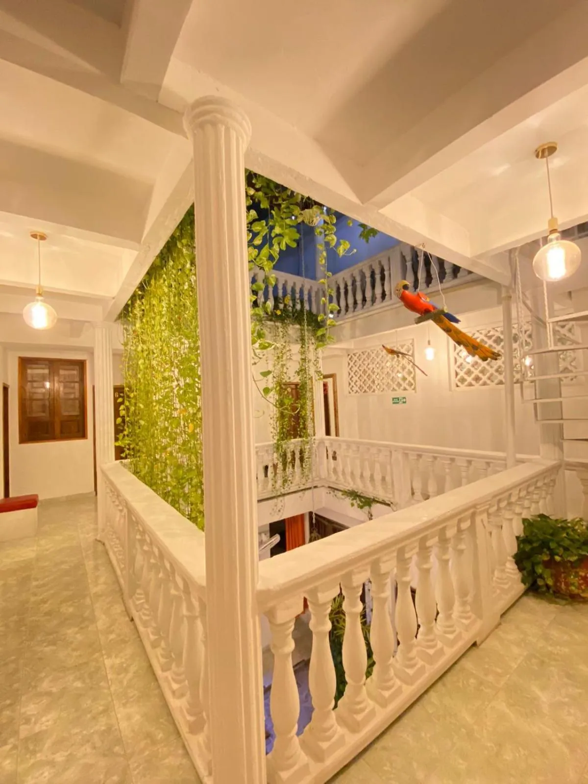 Patio in Patio de Getsemani