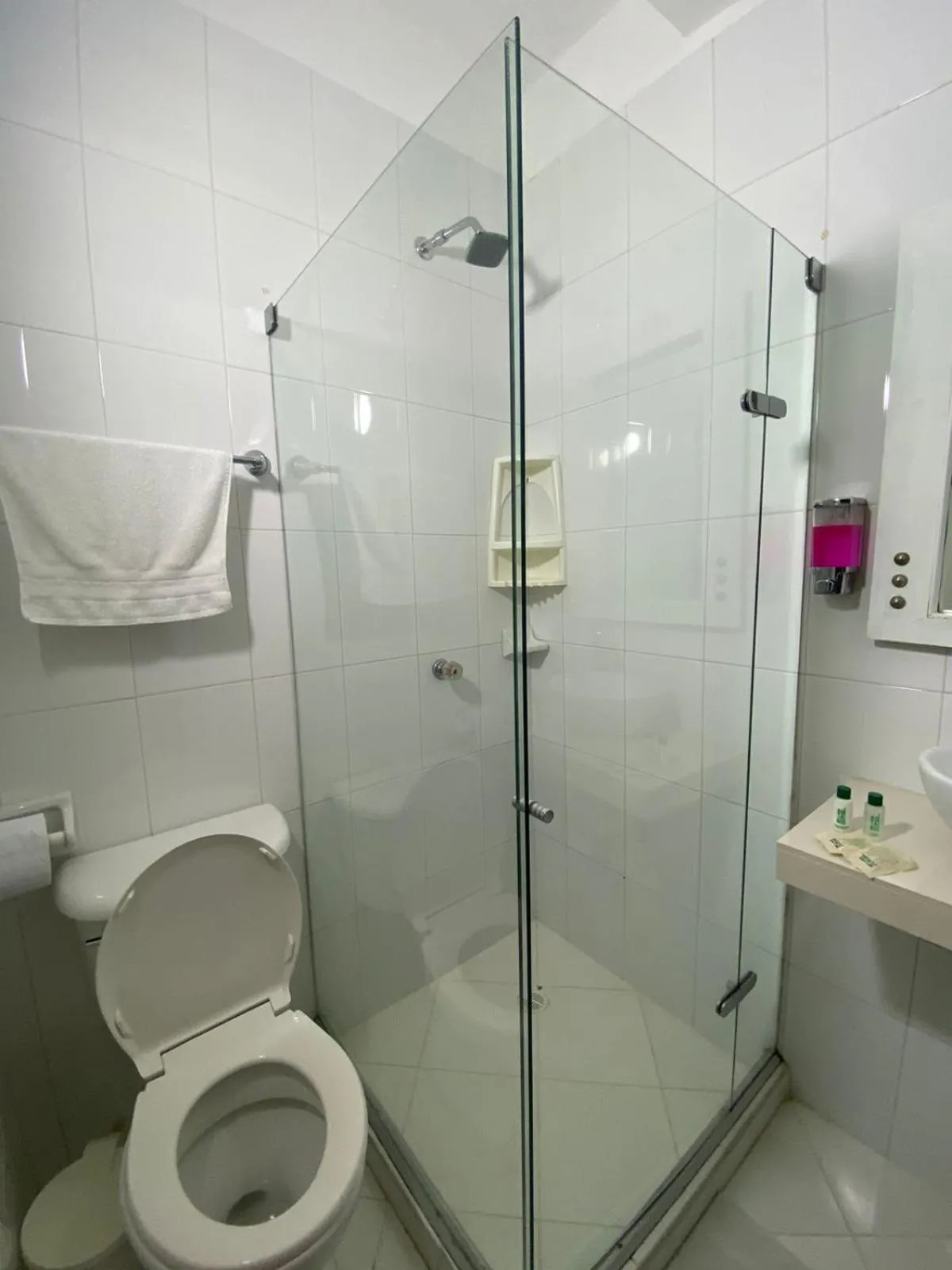 Bathroom in Patio de Getsemani