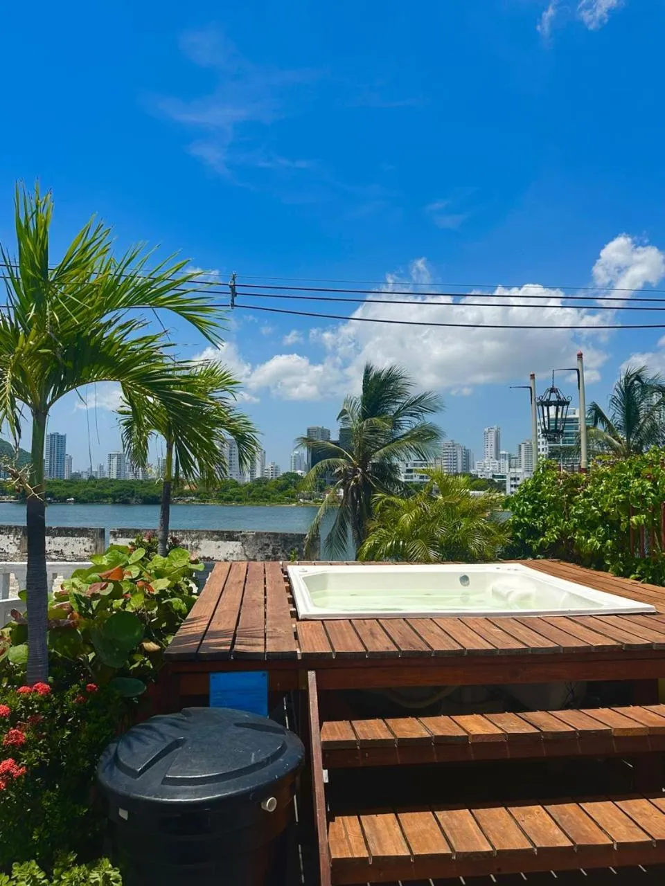 Garden in Patio de Getsemani
