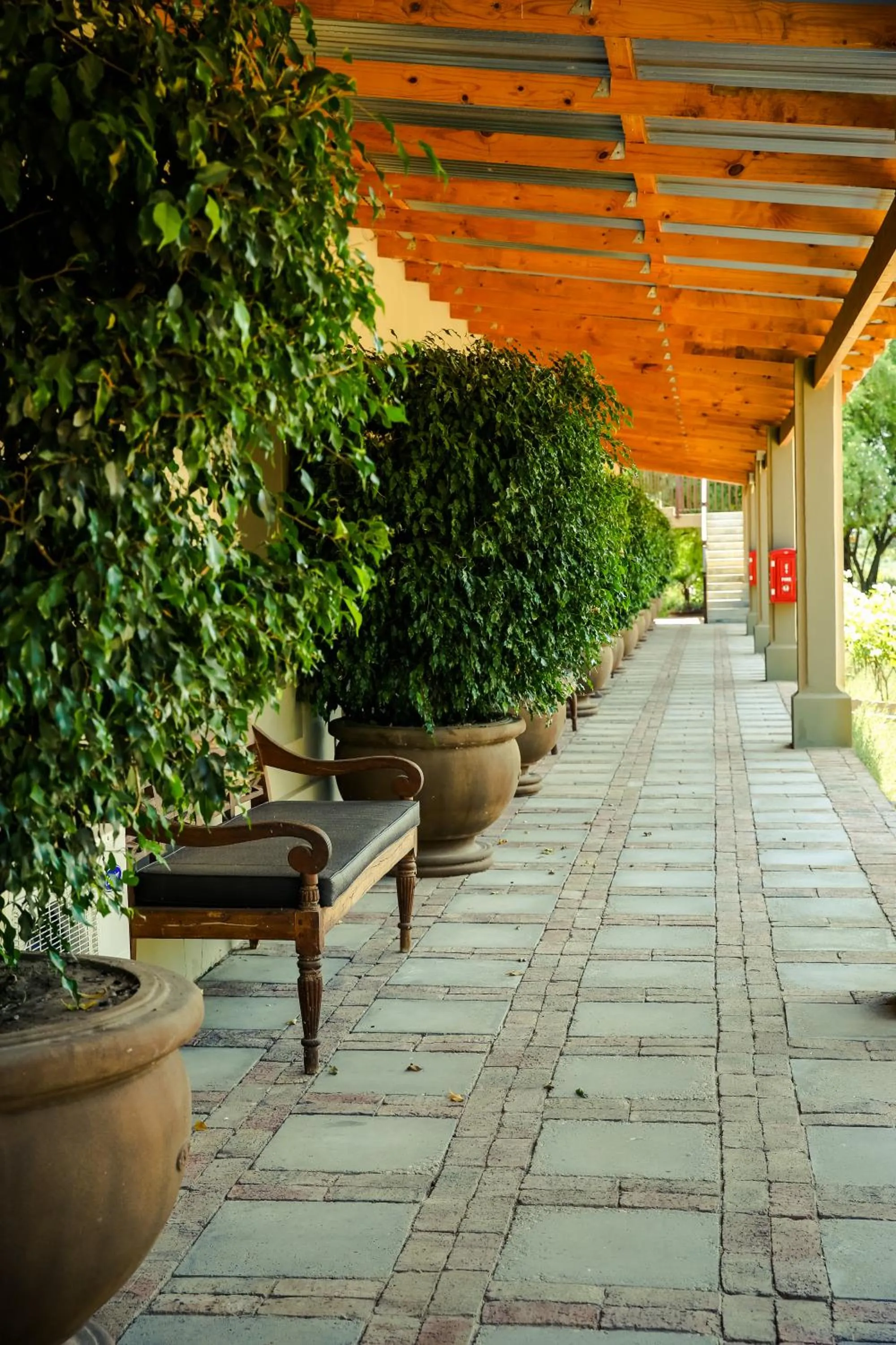 Patio in Surval Boutique Olive Estate