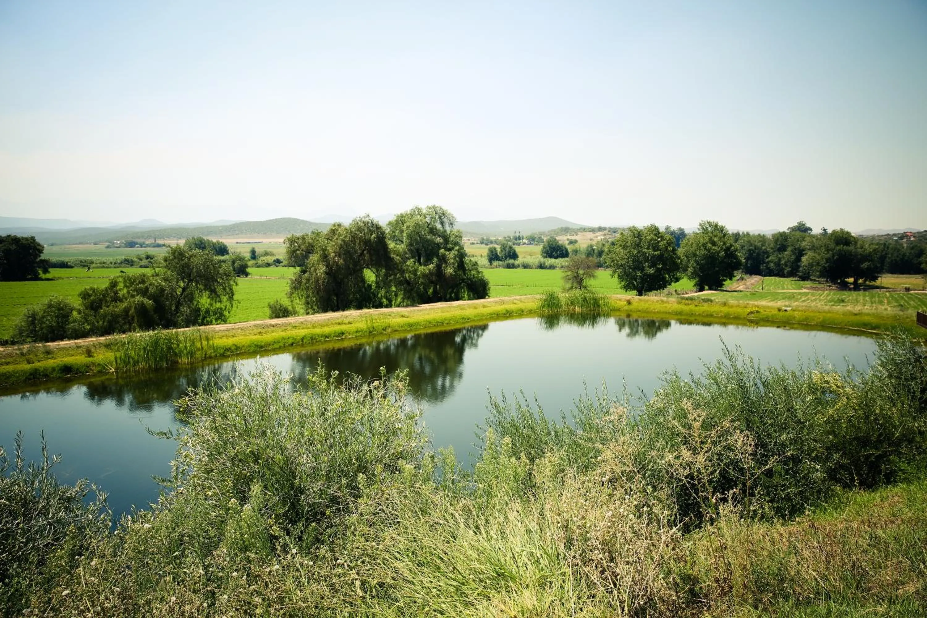 Garden in Surval Boutique Olive Estate