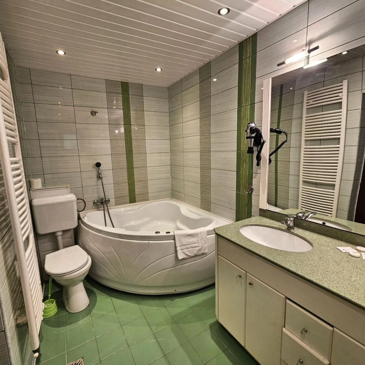 Three-Bedroom Apartment in Pensiunea Andrei Moieciu