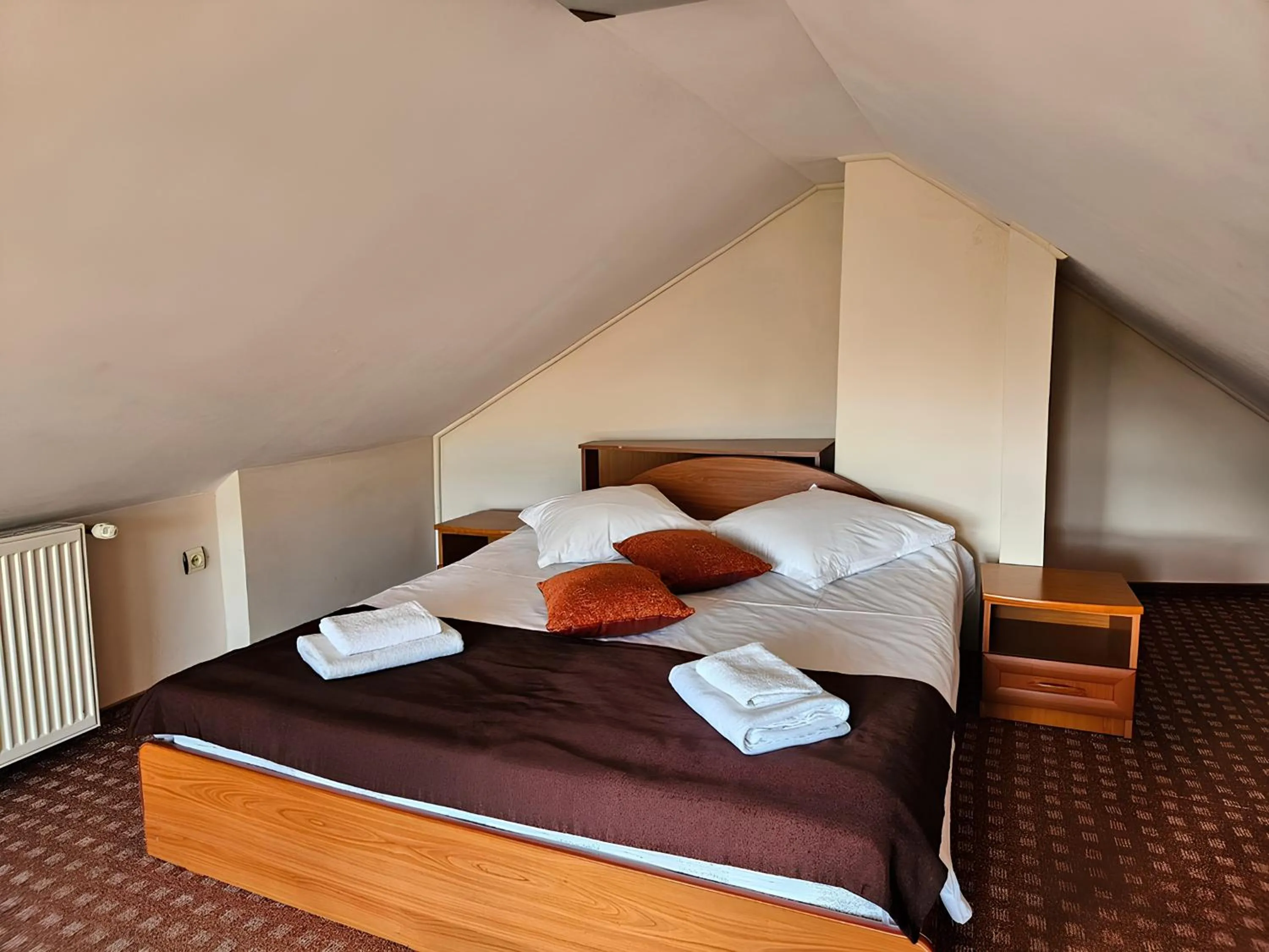 One-Bedroom Apartment in Pensiunea Andrei Moieciu