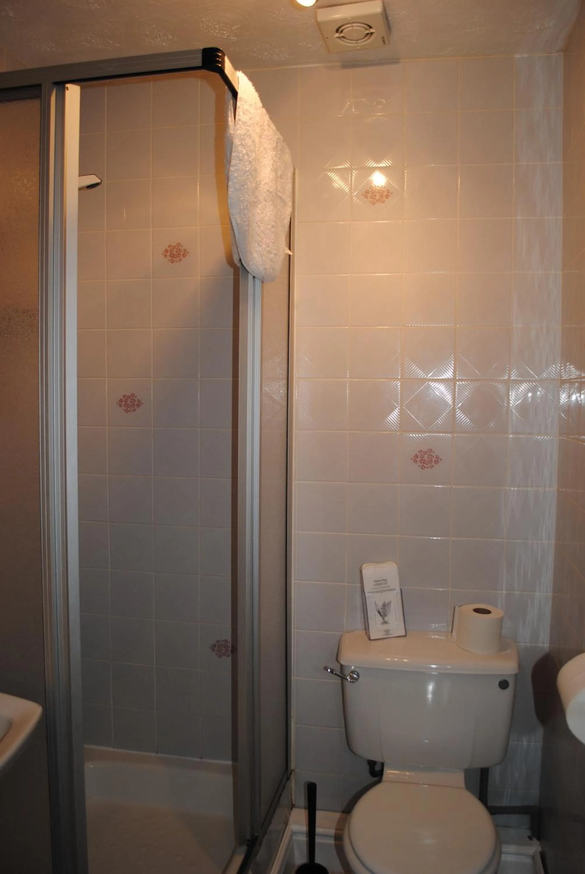 Shower in Craig-Ard Hotel