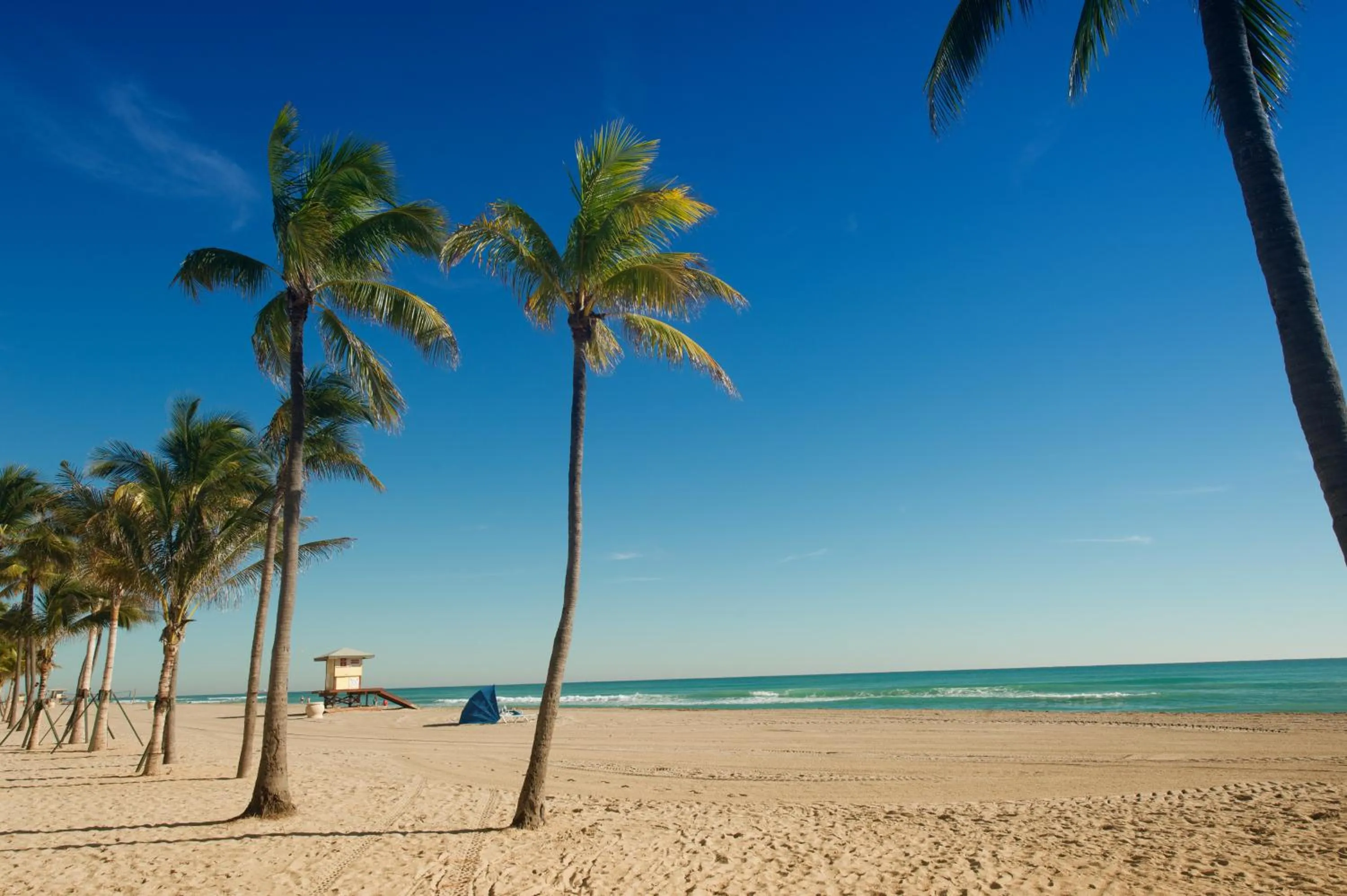 Day in Hollywood Beachside Boutique Suite