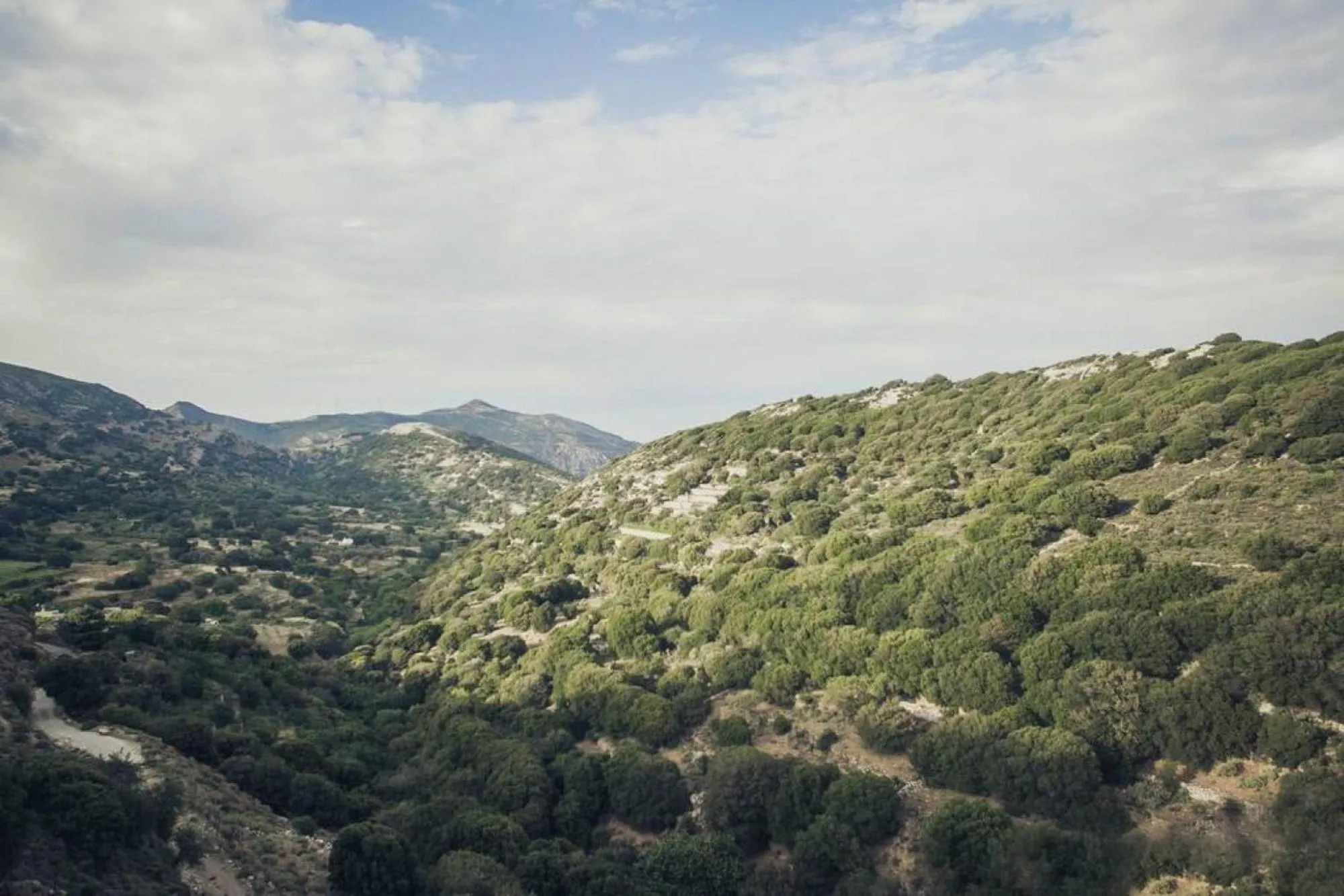 Traditional Inn Pirethron