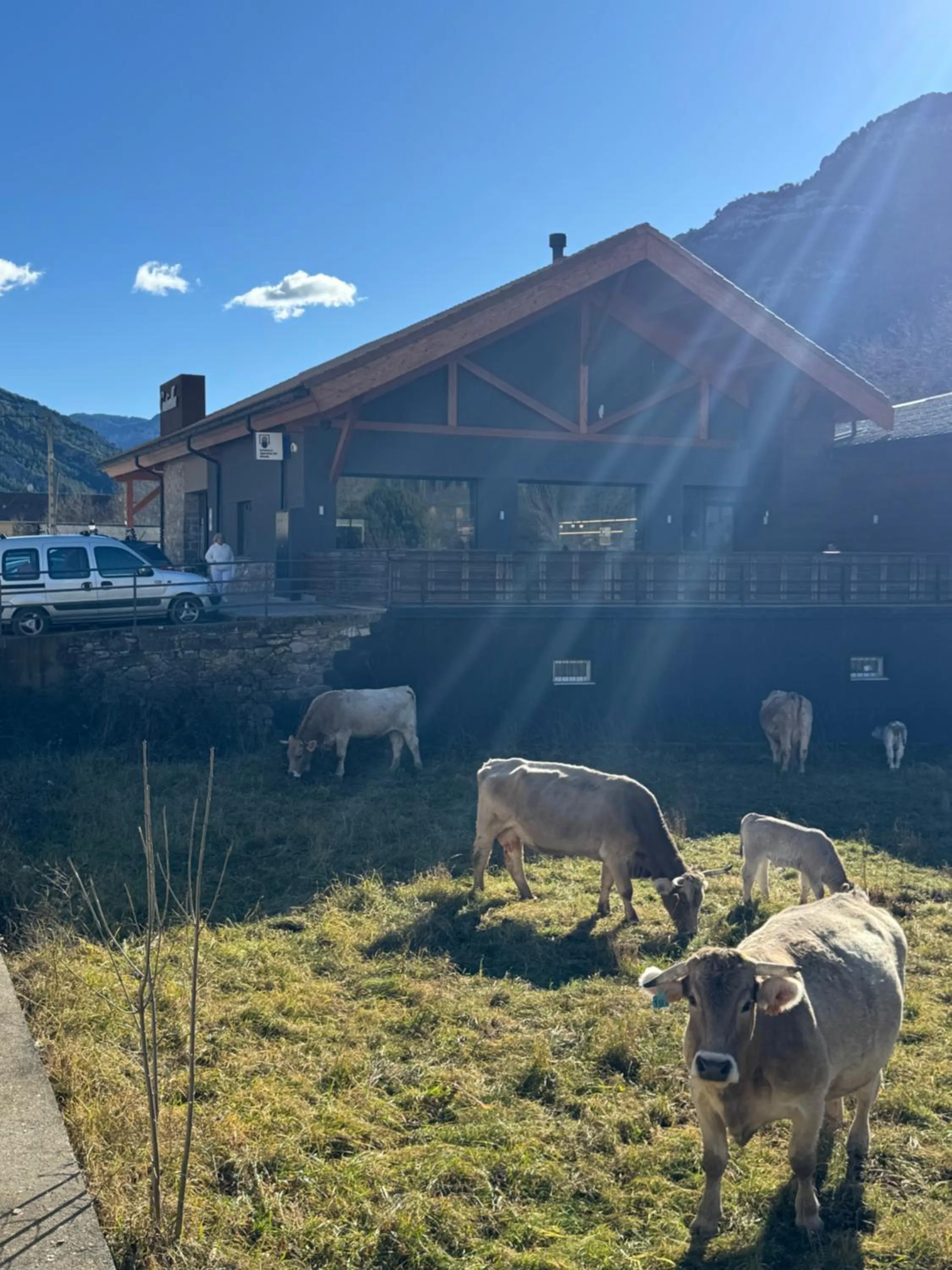 Restaurant/places to eat in Hotel Cotiella