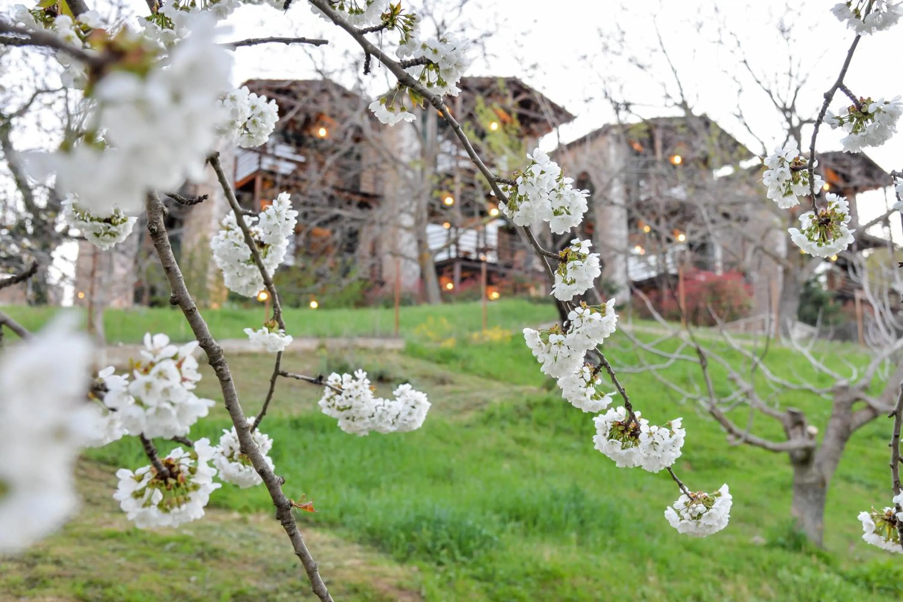 Spring in Vathyskia Guesthouse
