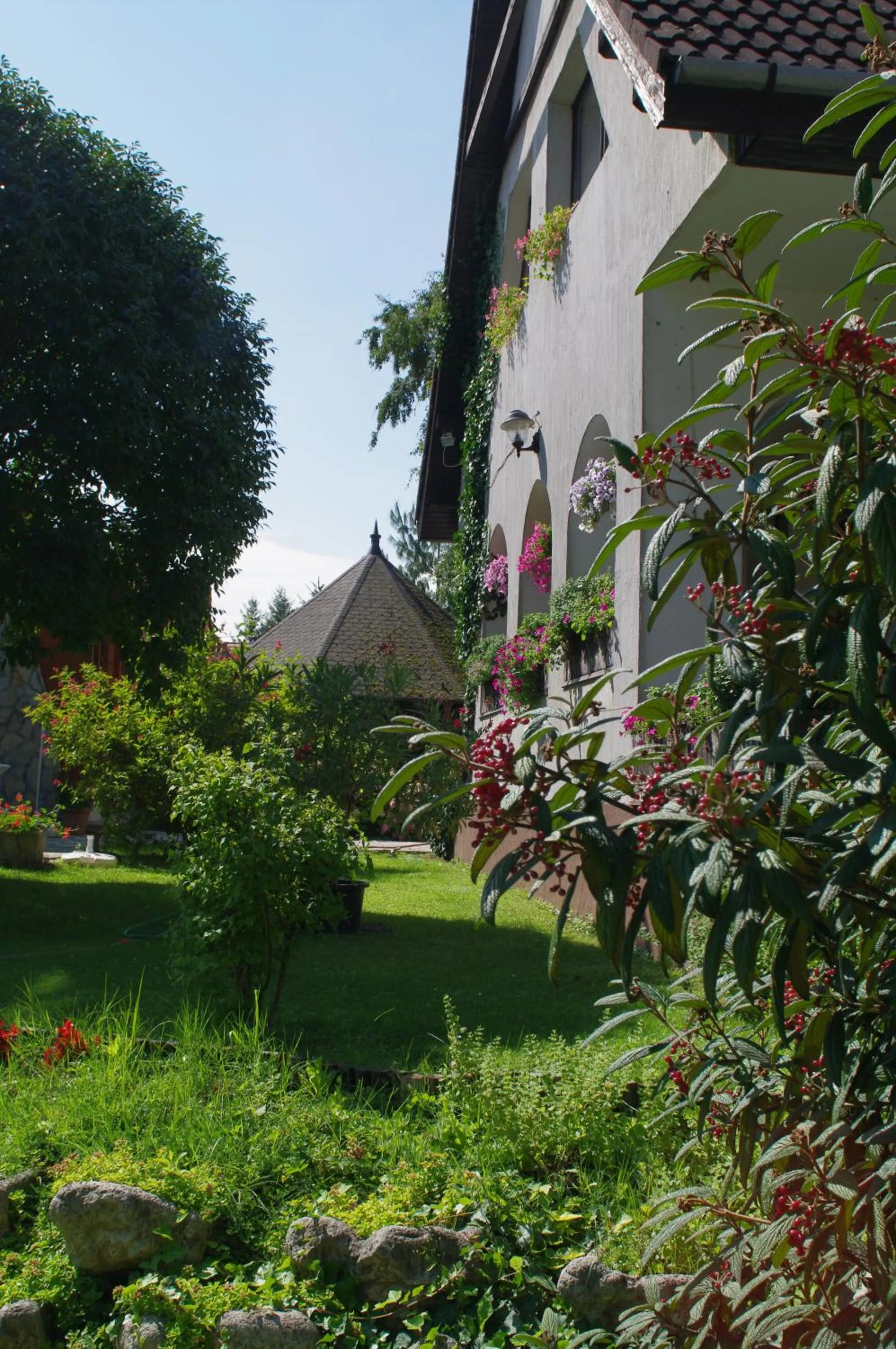 Garden in Ágnes Hotel