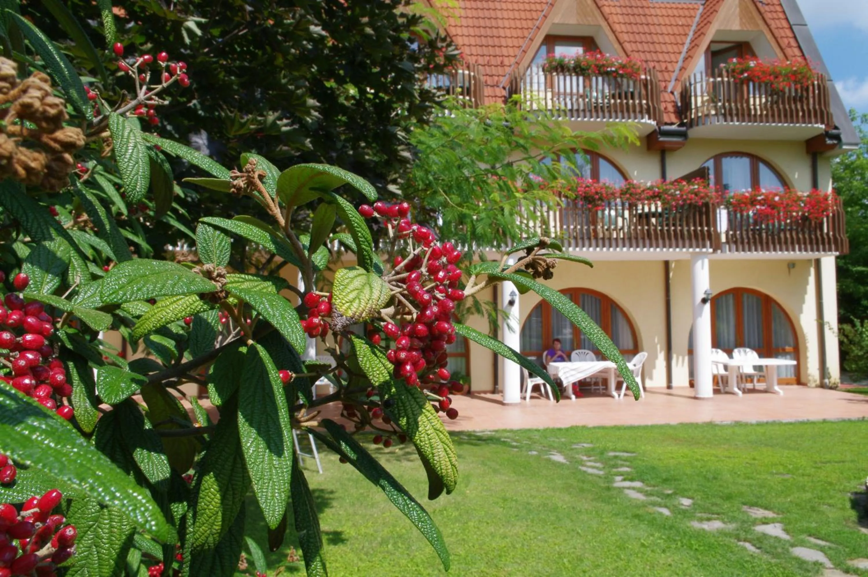Garden in Ágnes Hotel