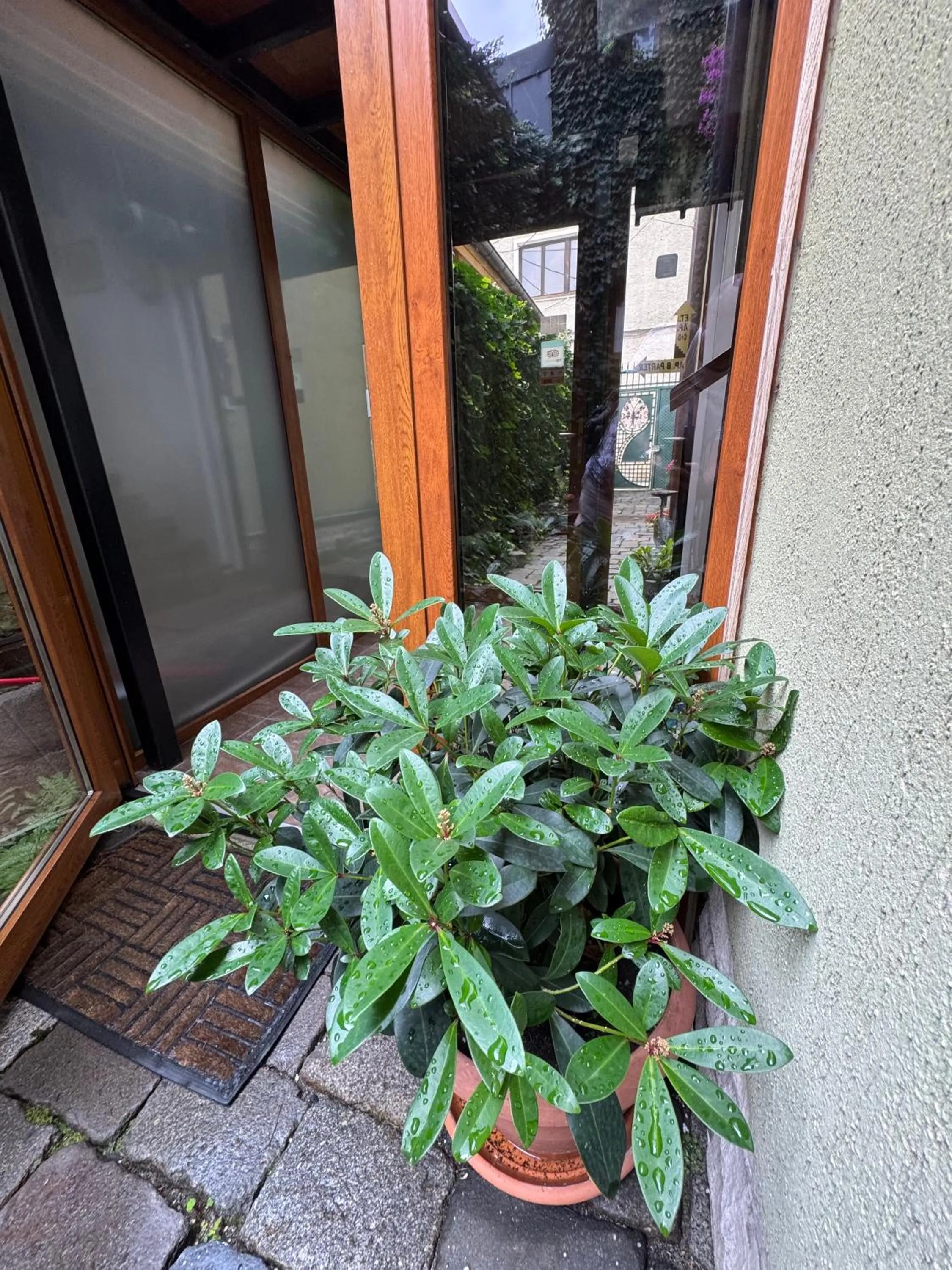 Inner courtyard view in Lucas 10 Apartments