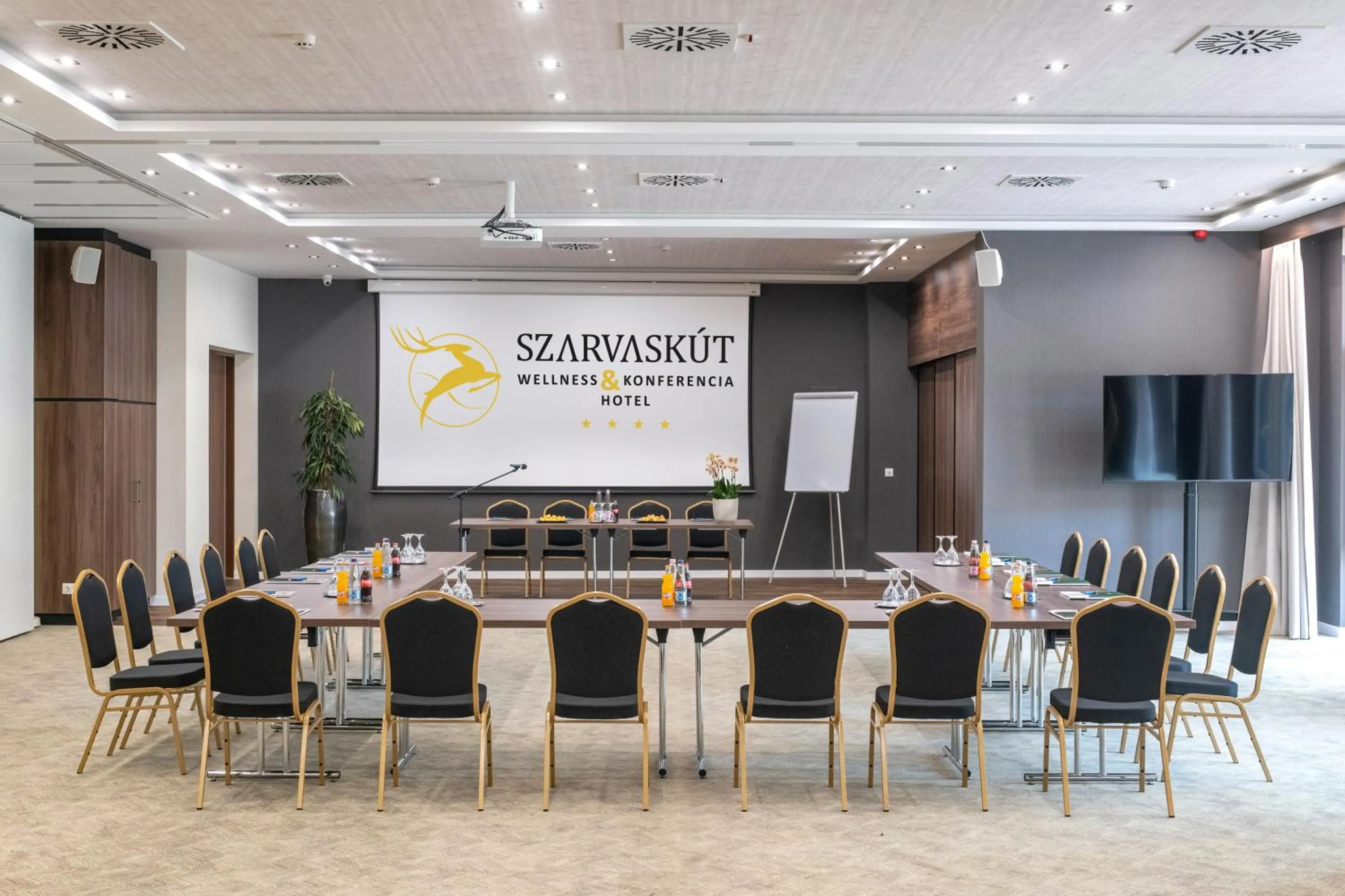 Meeting/conference room in Szarvaskút Hotel