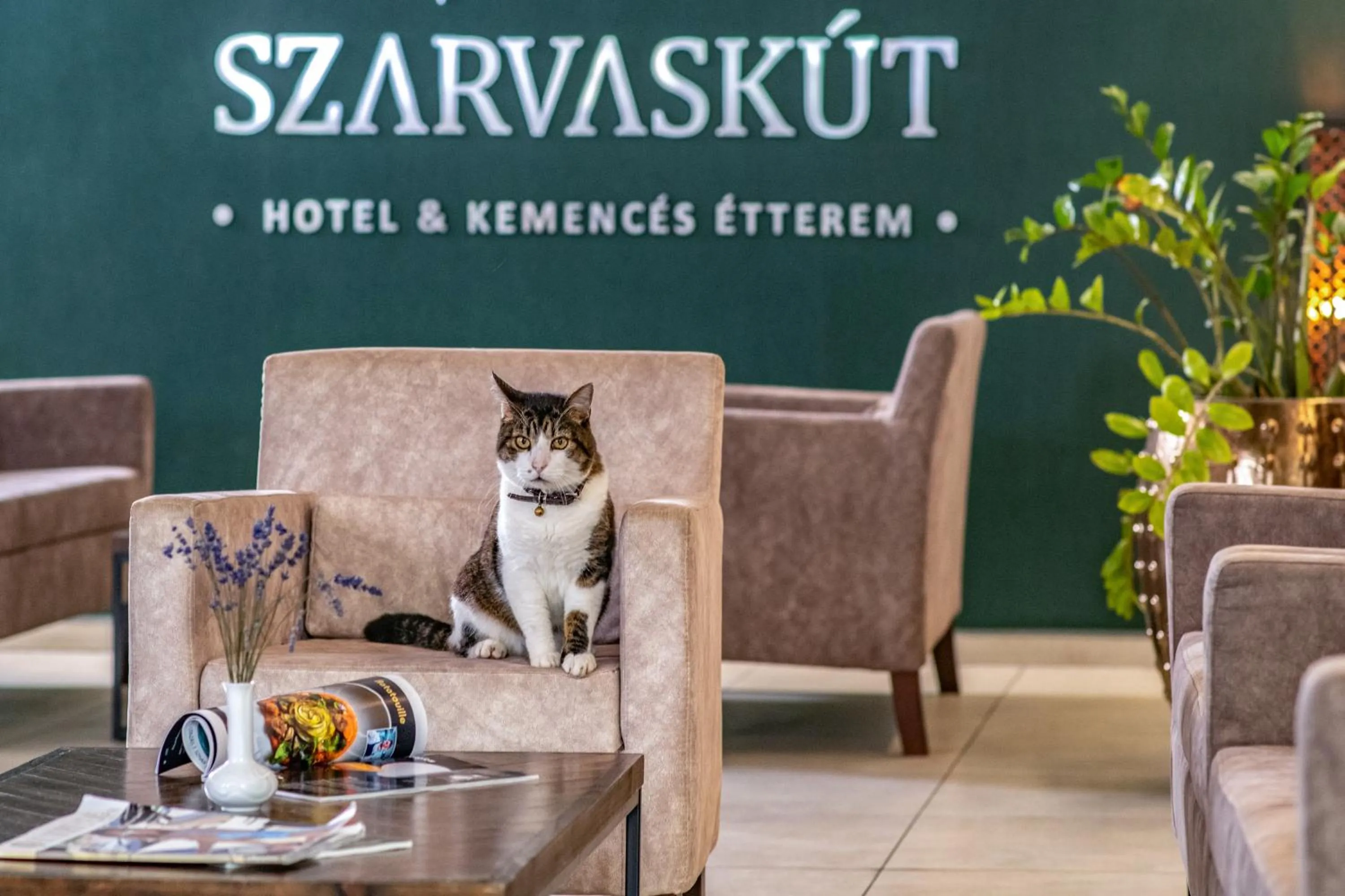 Lobby or reception in Szarvaskút Hotel