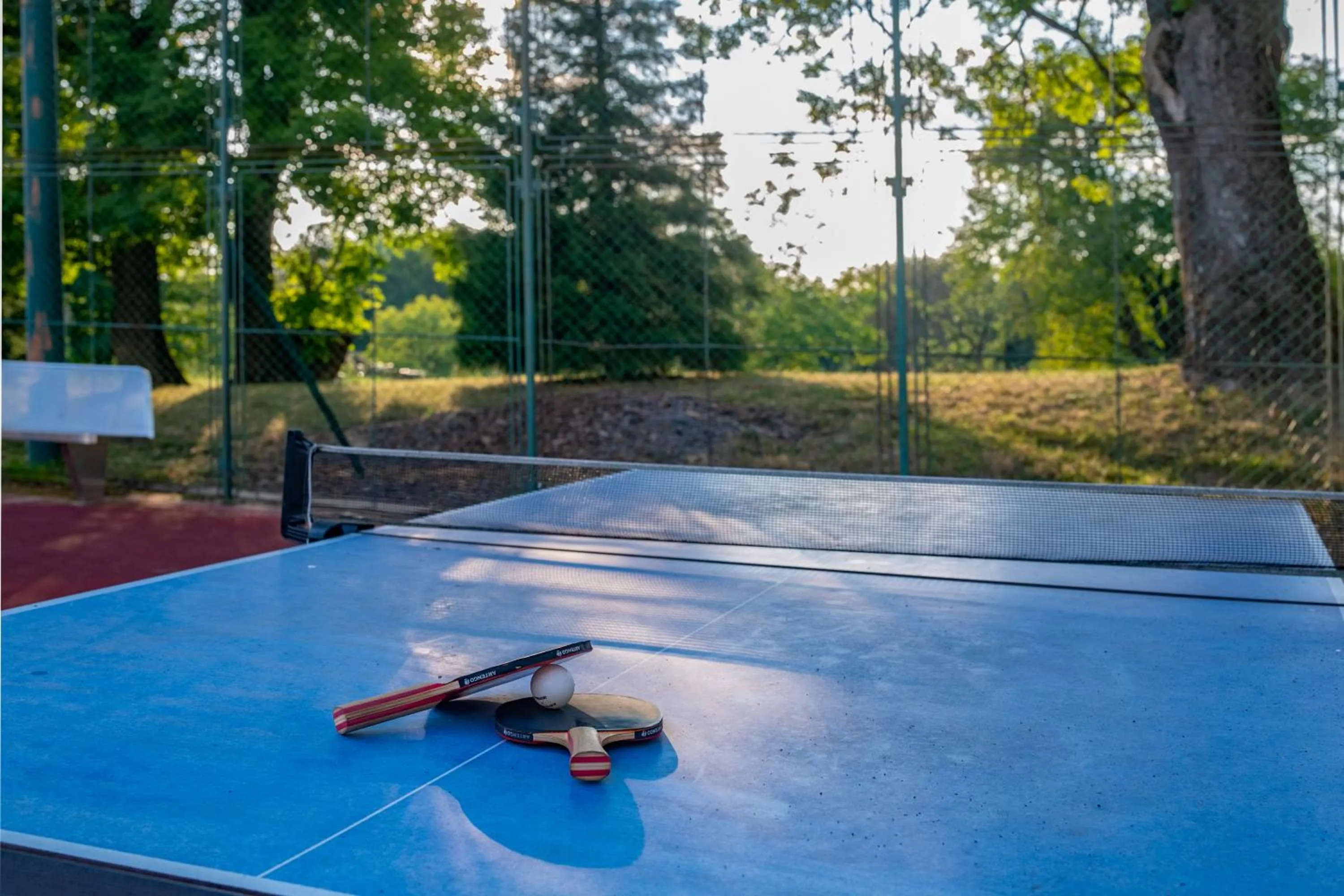 Table tennis in Szarvaskút Hotel