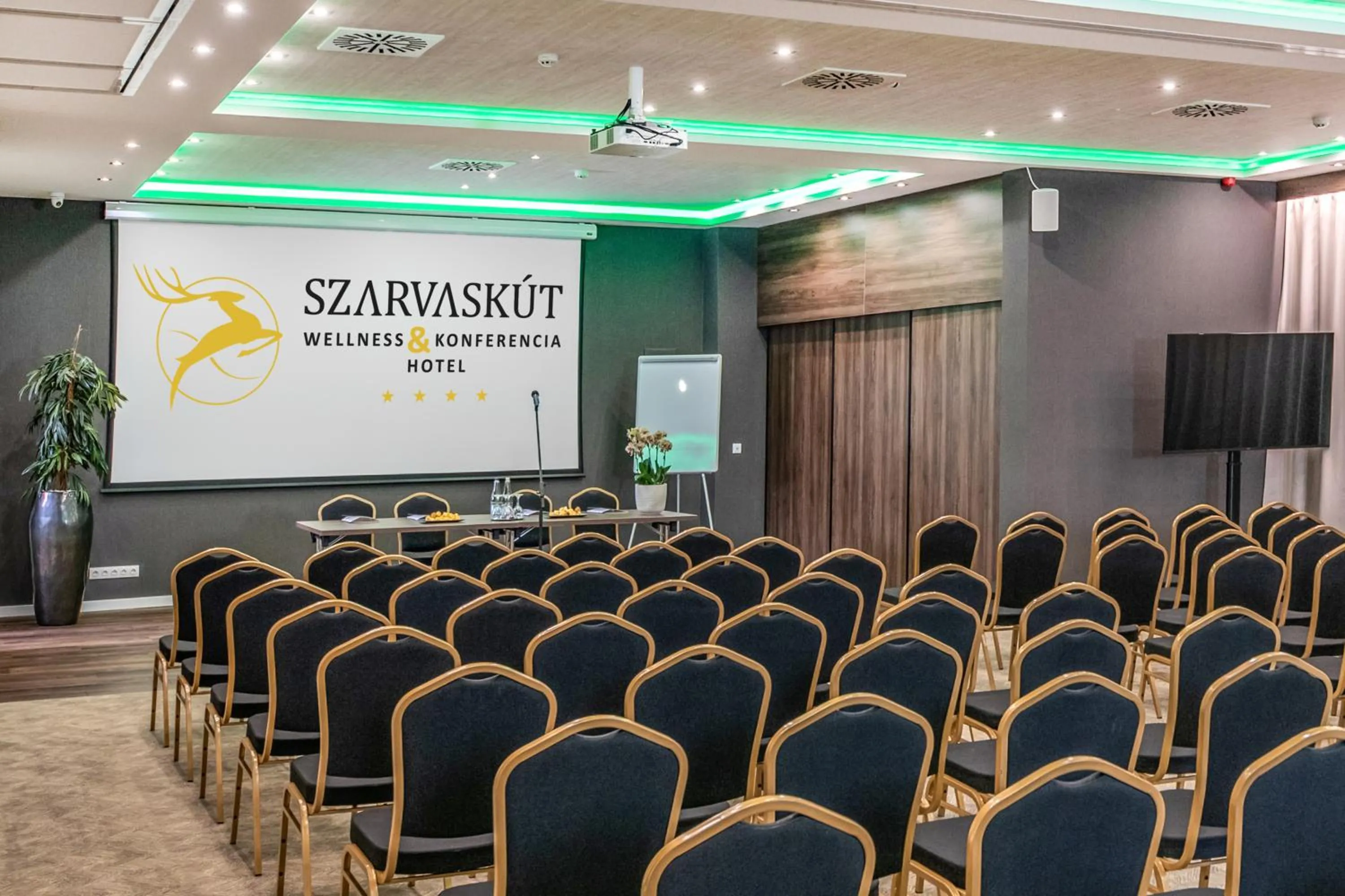 Meeting/conference room in Szarvaskút Hotel