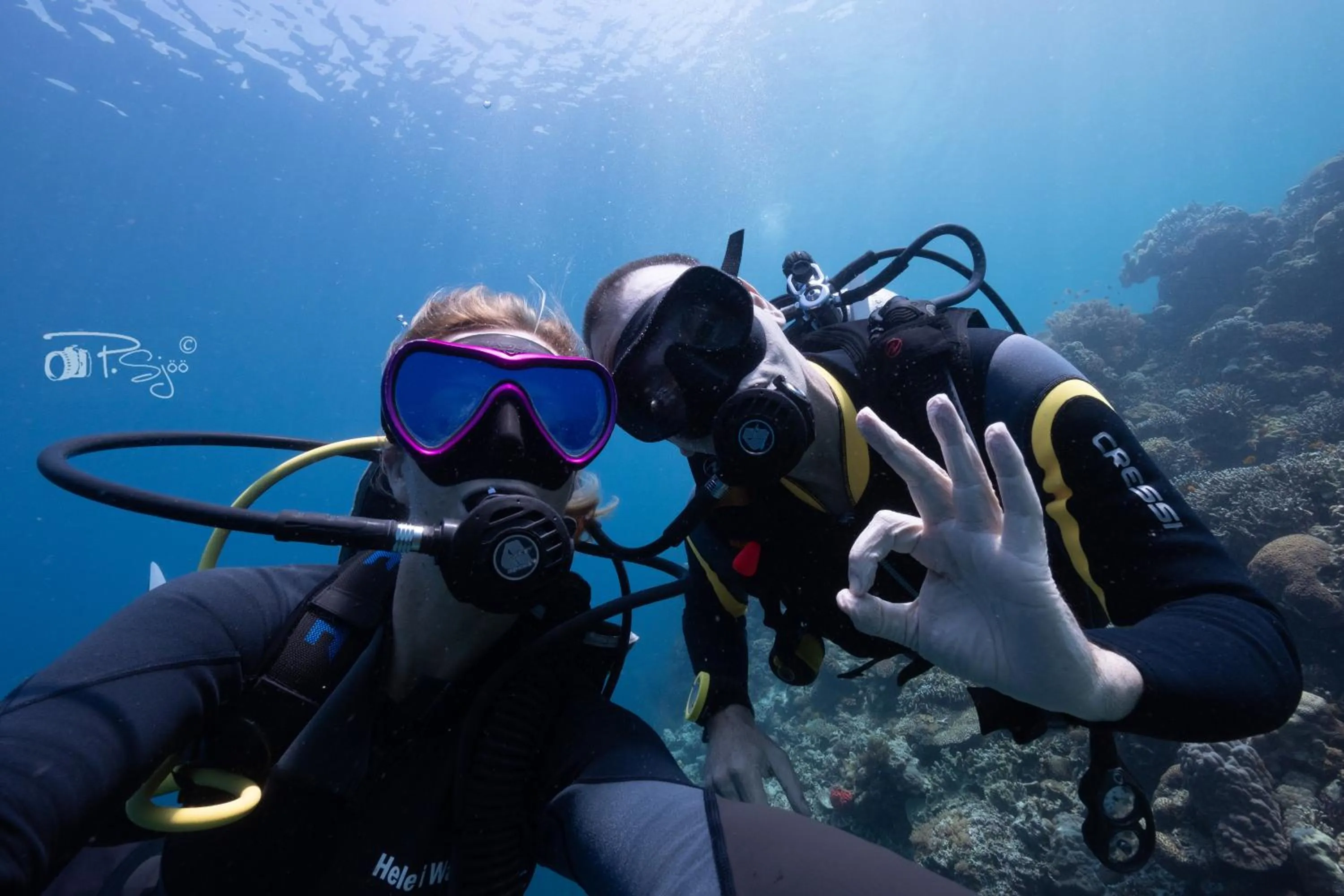 Diving in Divers Lodge Moalboal