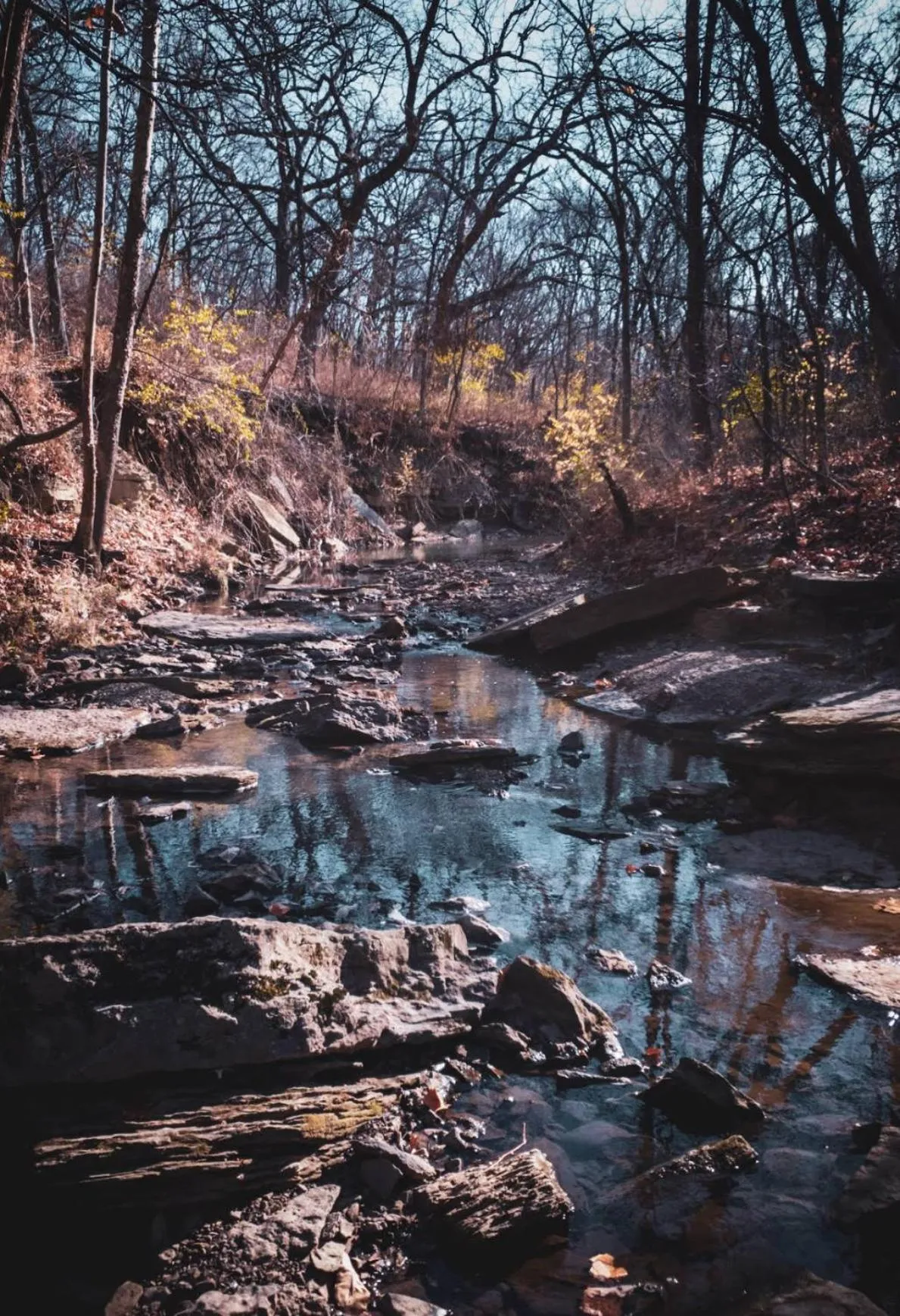 Spring in Quality Inn & Suites Blue Springs - Kansas City