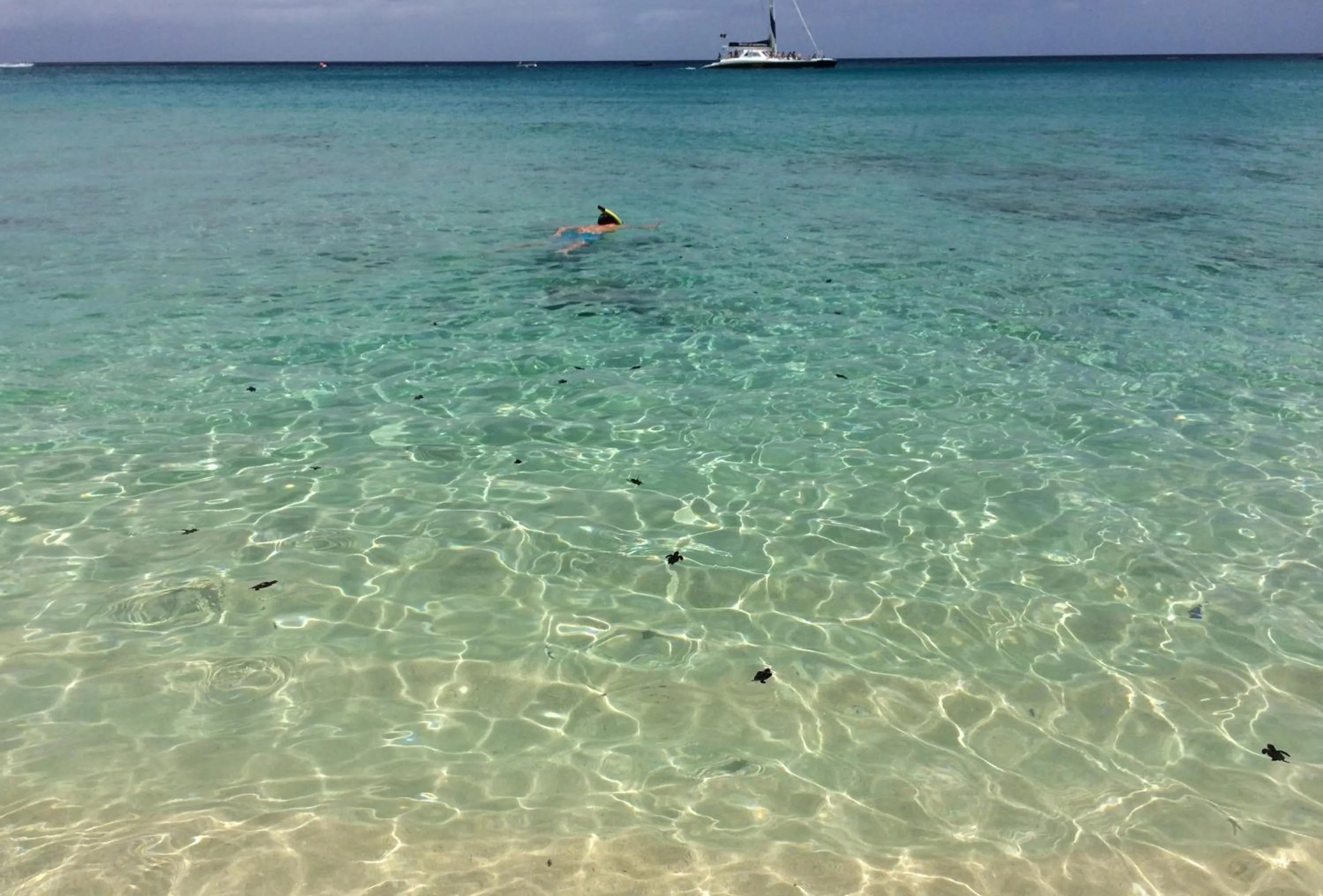 Carib Edge AC beach penthouse, near amenities