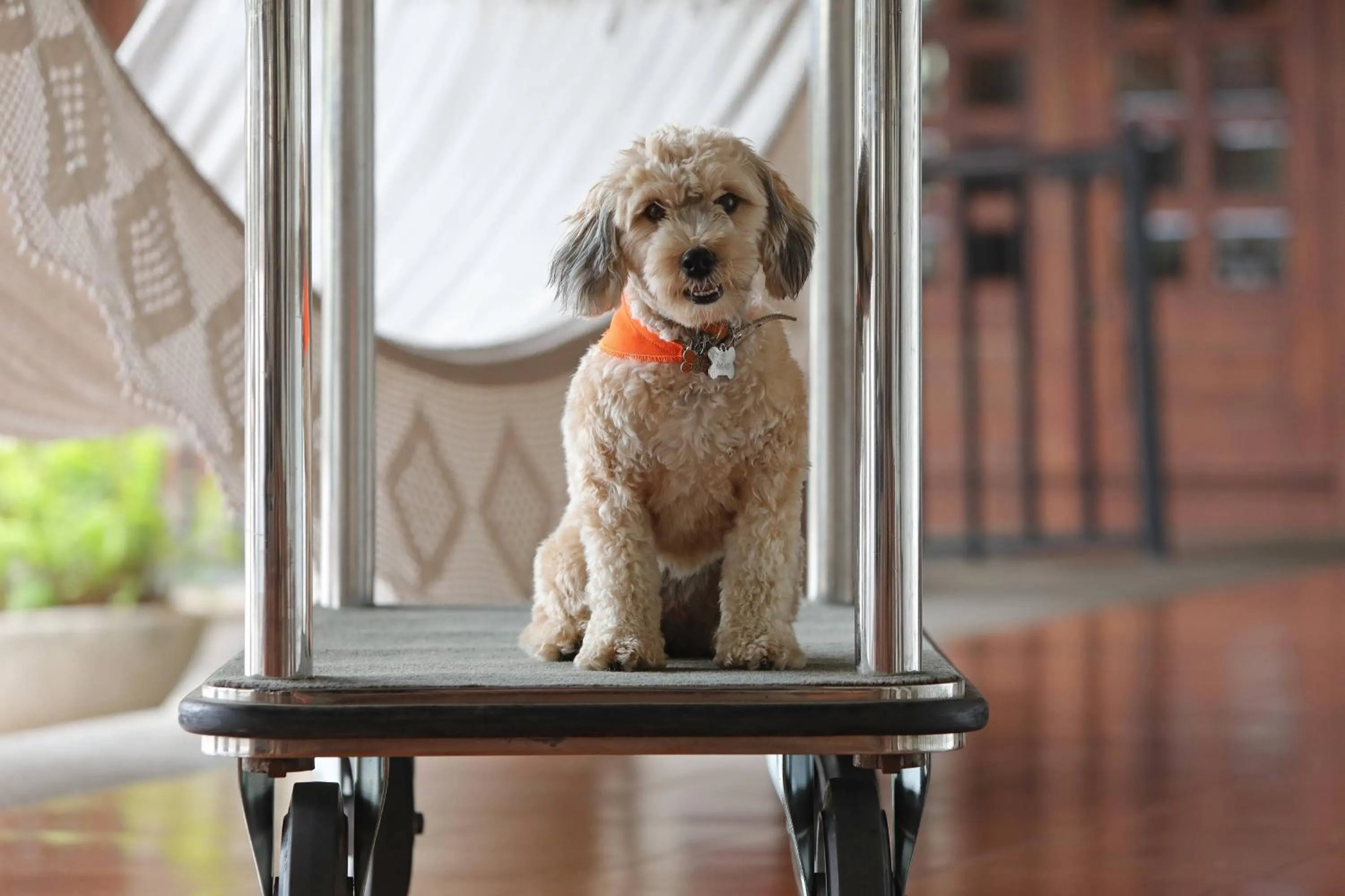 Other in JW Marriott Guanacaste Resort & Spa