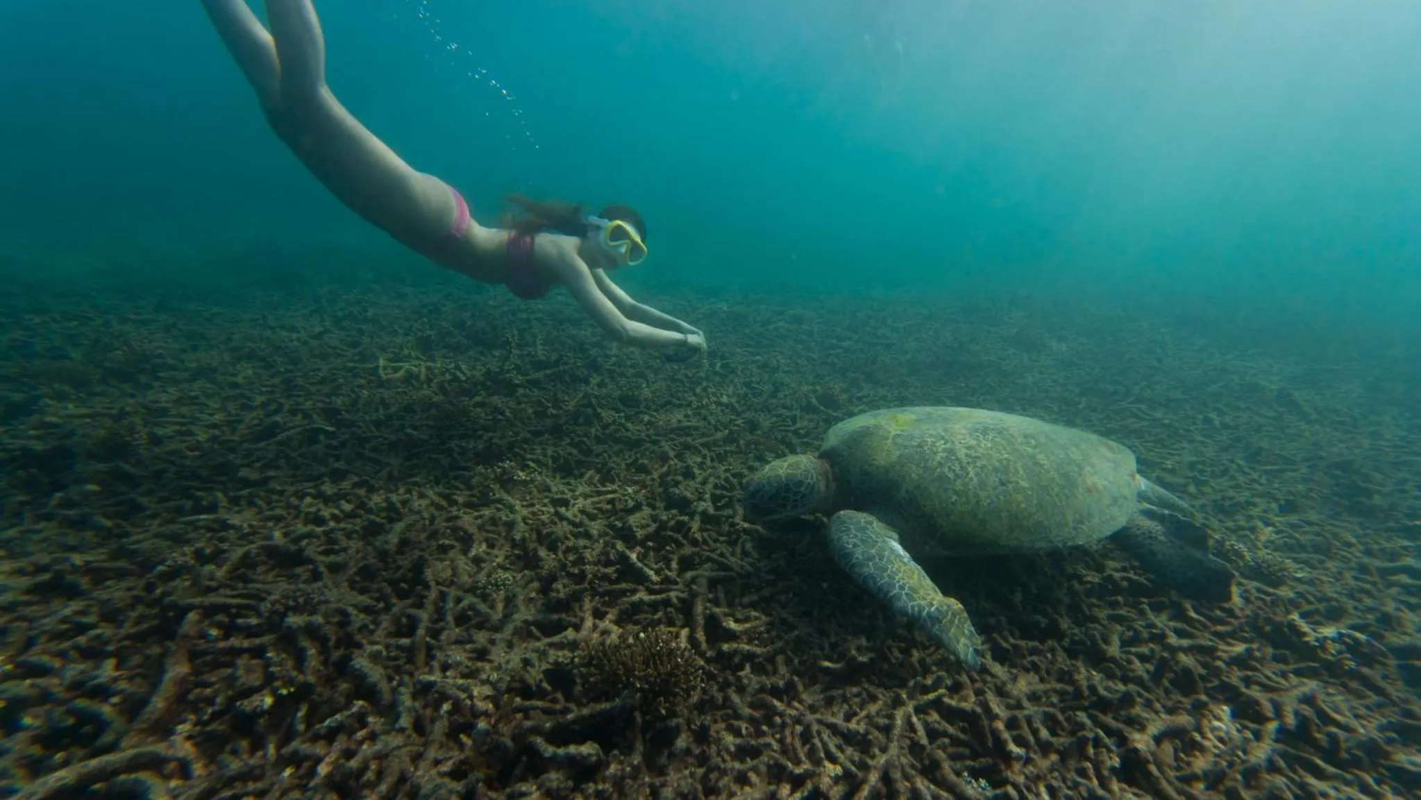 Natural landscape in Taatoh Seaview Resort - SHA Plus