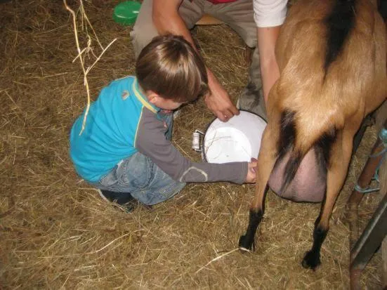 Hotel Rural Yeguada Albeitar