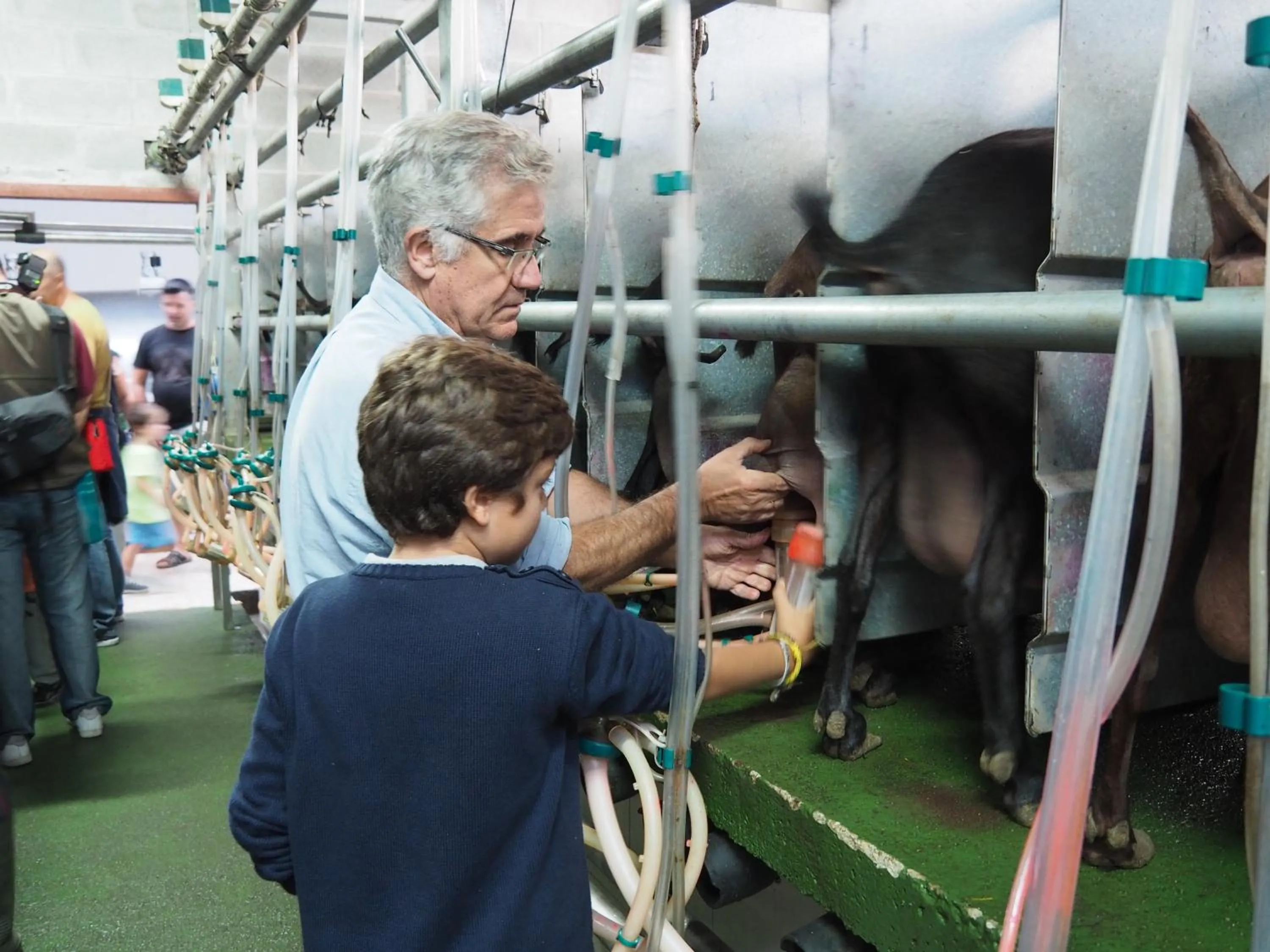 Property building in Hotel Rural Yeguada Albeitar