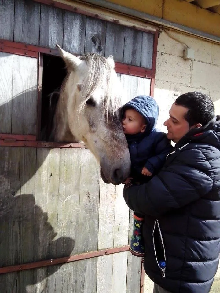 Activities in Hotel Rural Yeguada Albeitar