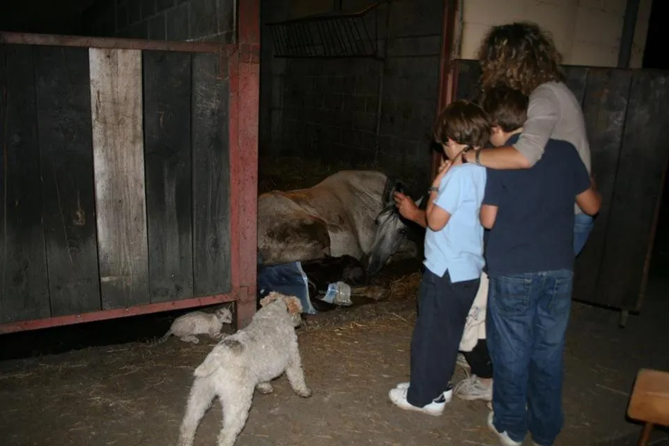 Hotel Rural Yeguada Albeitar