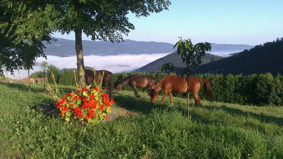 Hotel Rural Yeguada Albeitar