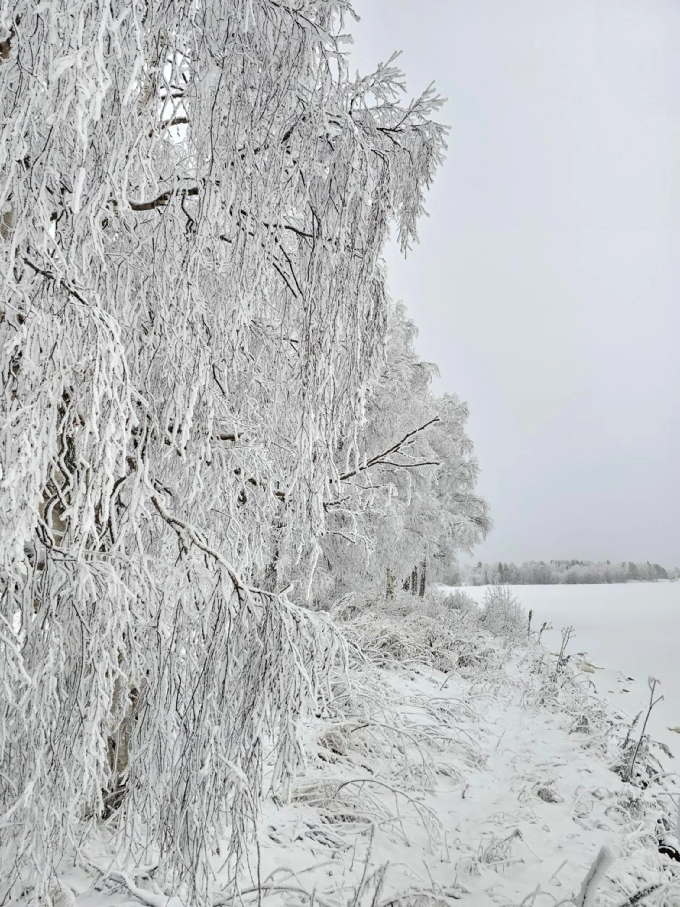 Kylpylähotelli Pohjanranta