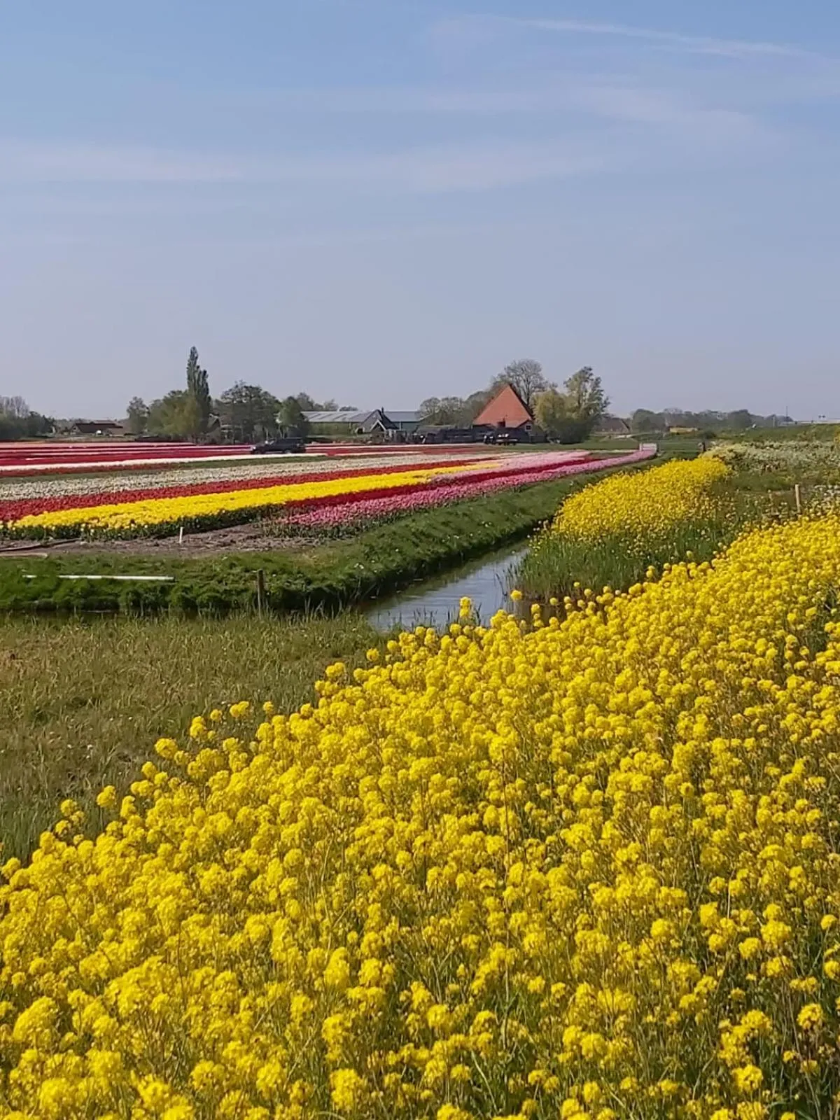 Natural landscape in Achterom 7