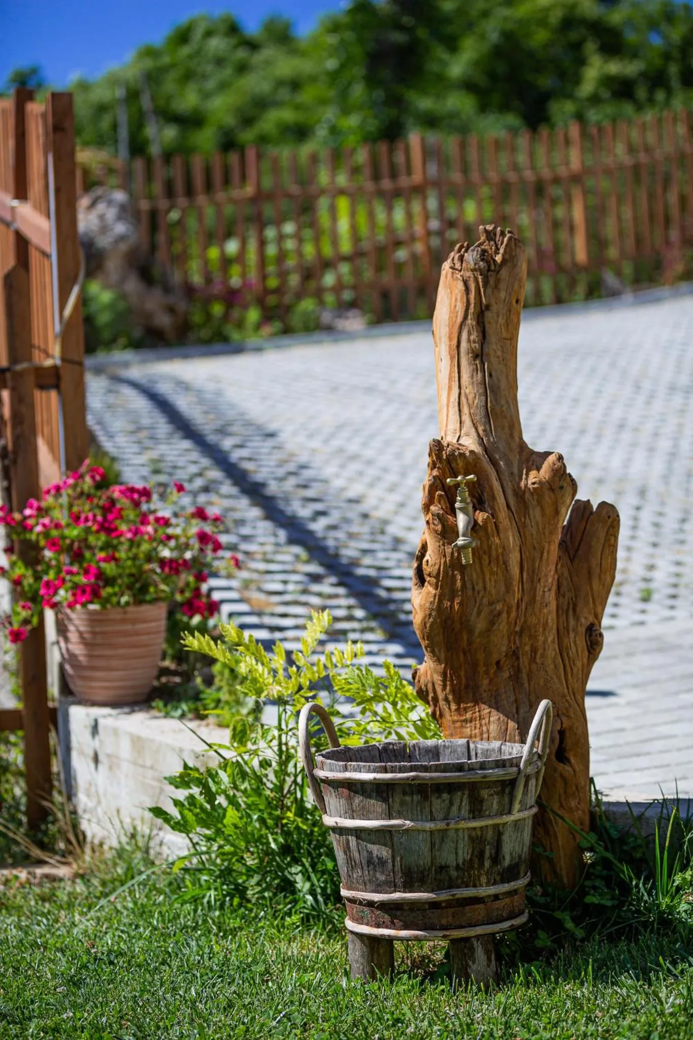 Garden in Villa Italia