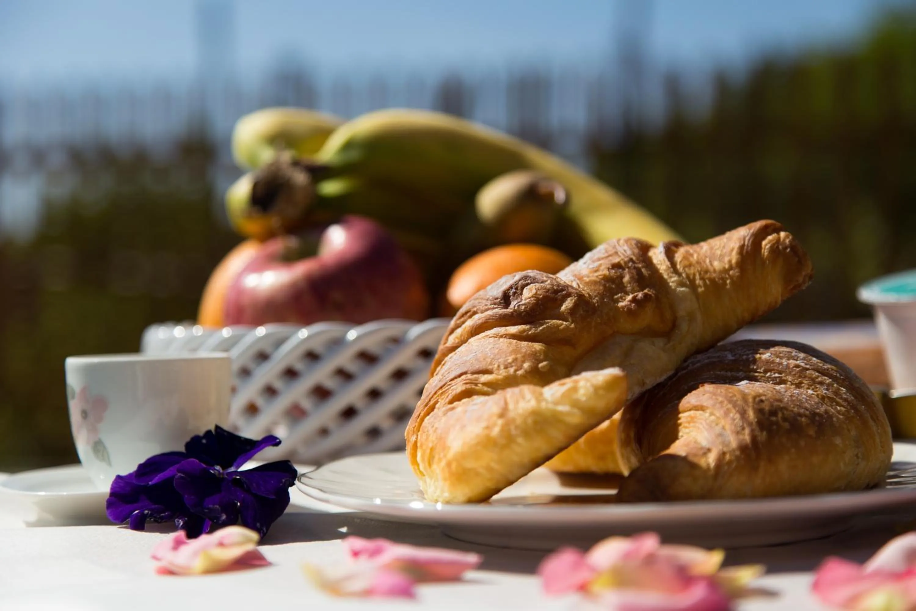 Buffet breakfast in Villa Italia