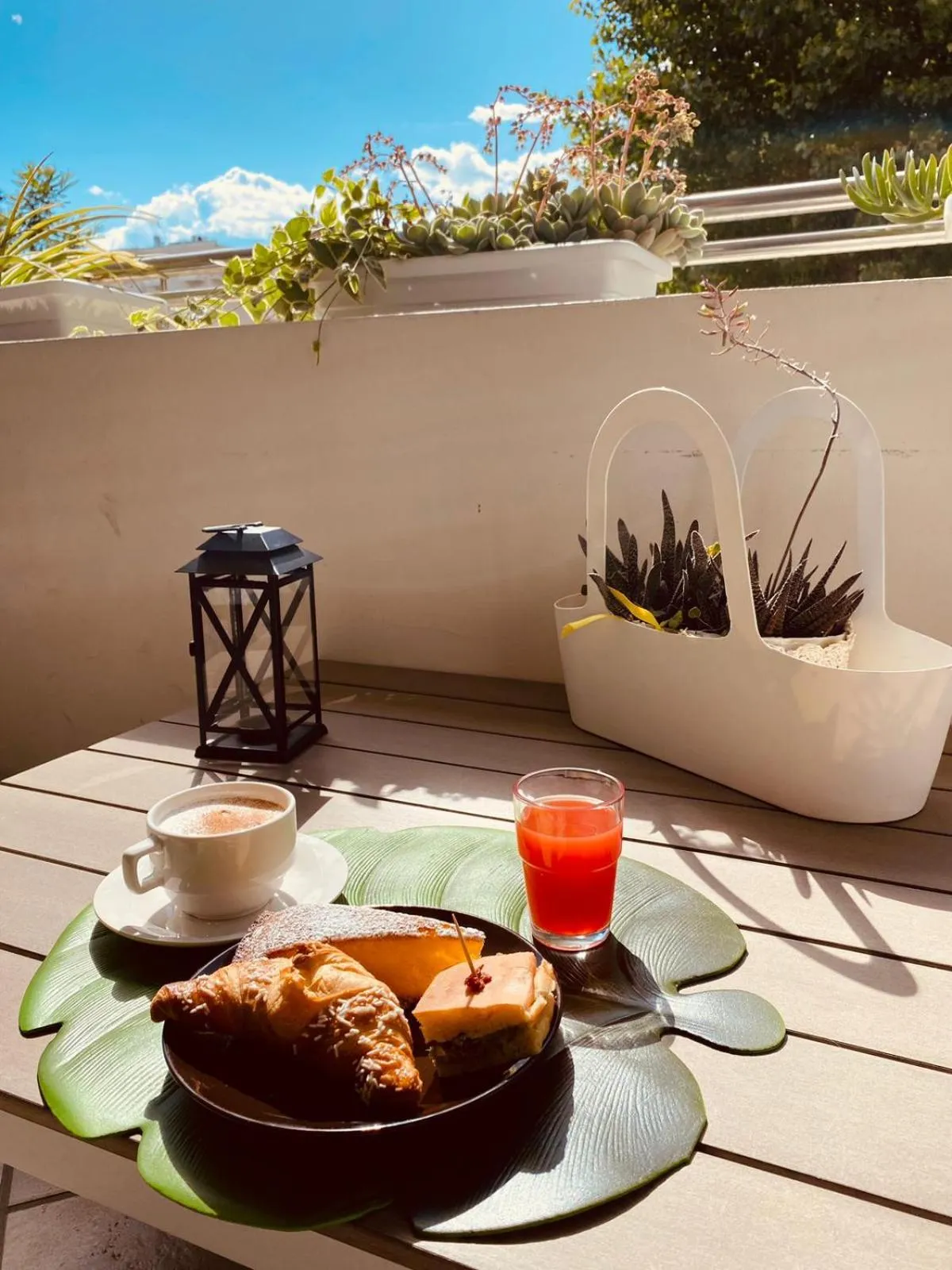 Patio in Hotel Bianca Vela