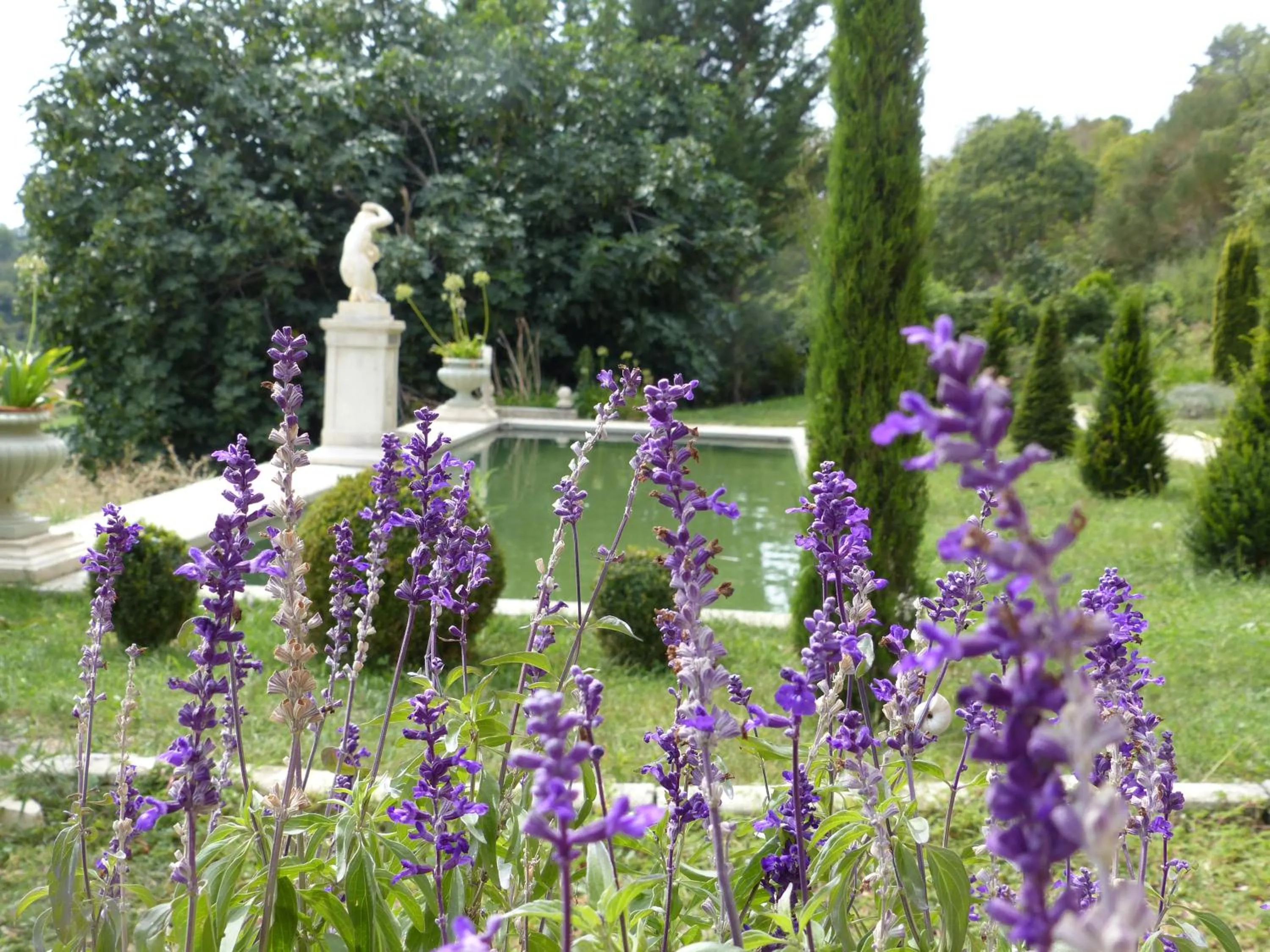 Garden in Château du Grand Jardin